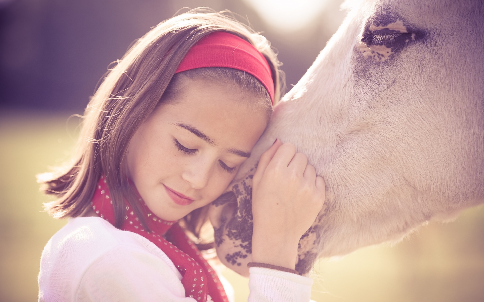 Девочка и лошадь обои
