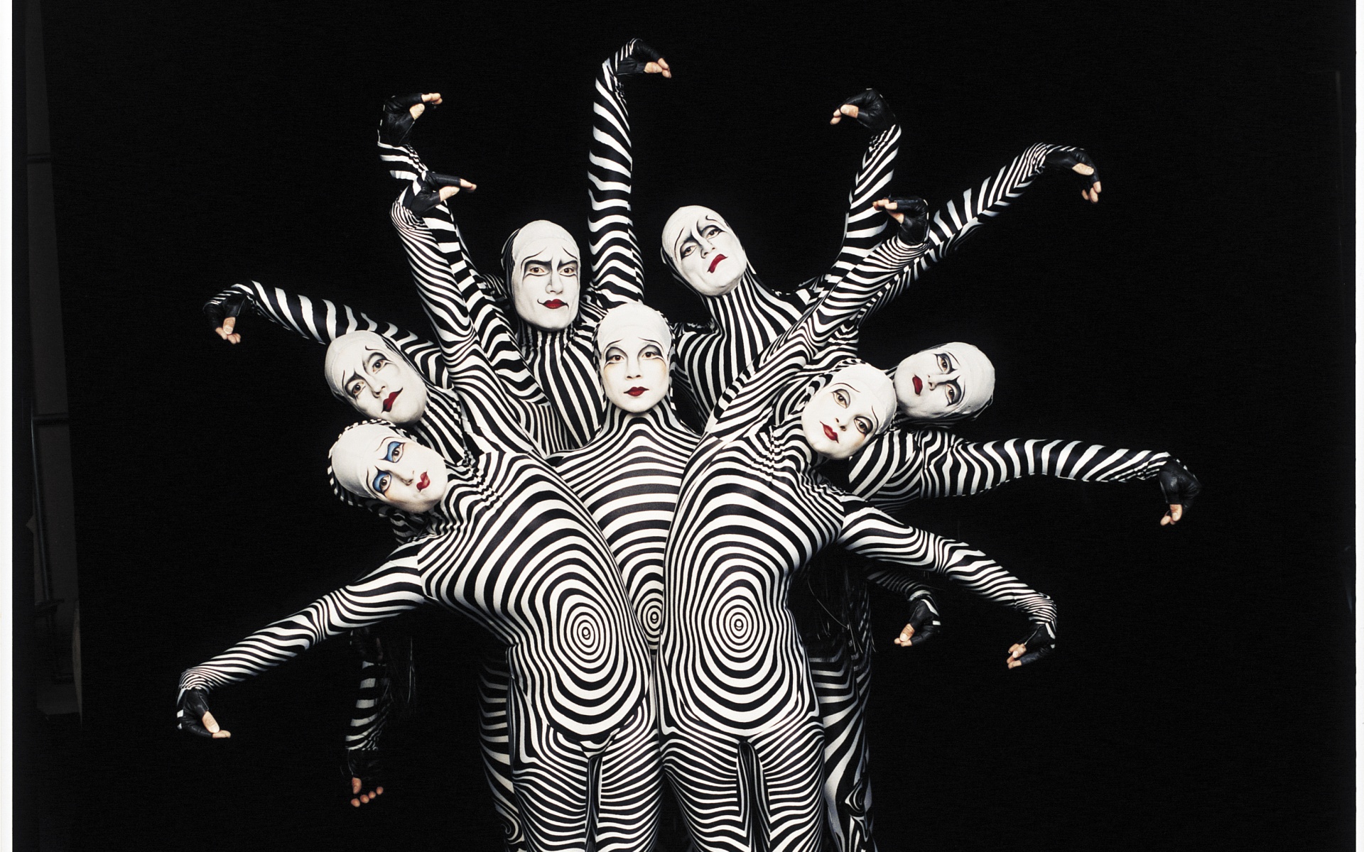 Зеброиды (актеры цирка дю солей) обои