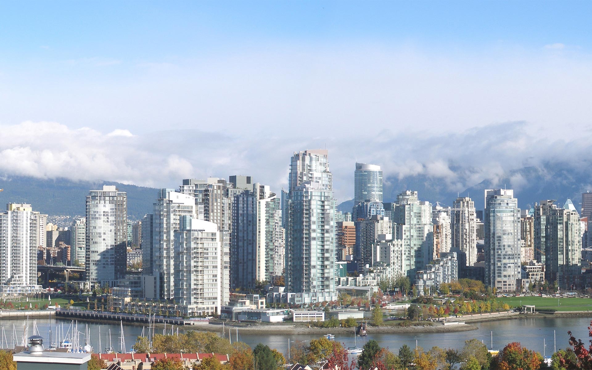 Панорама города обои