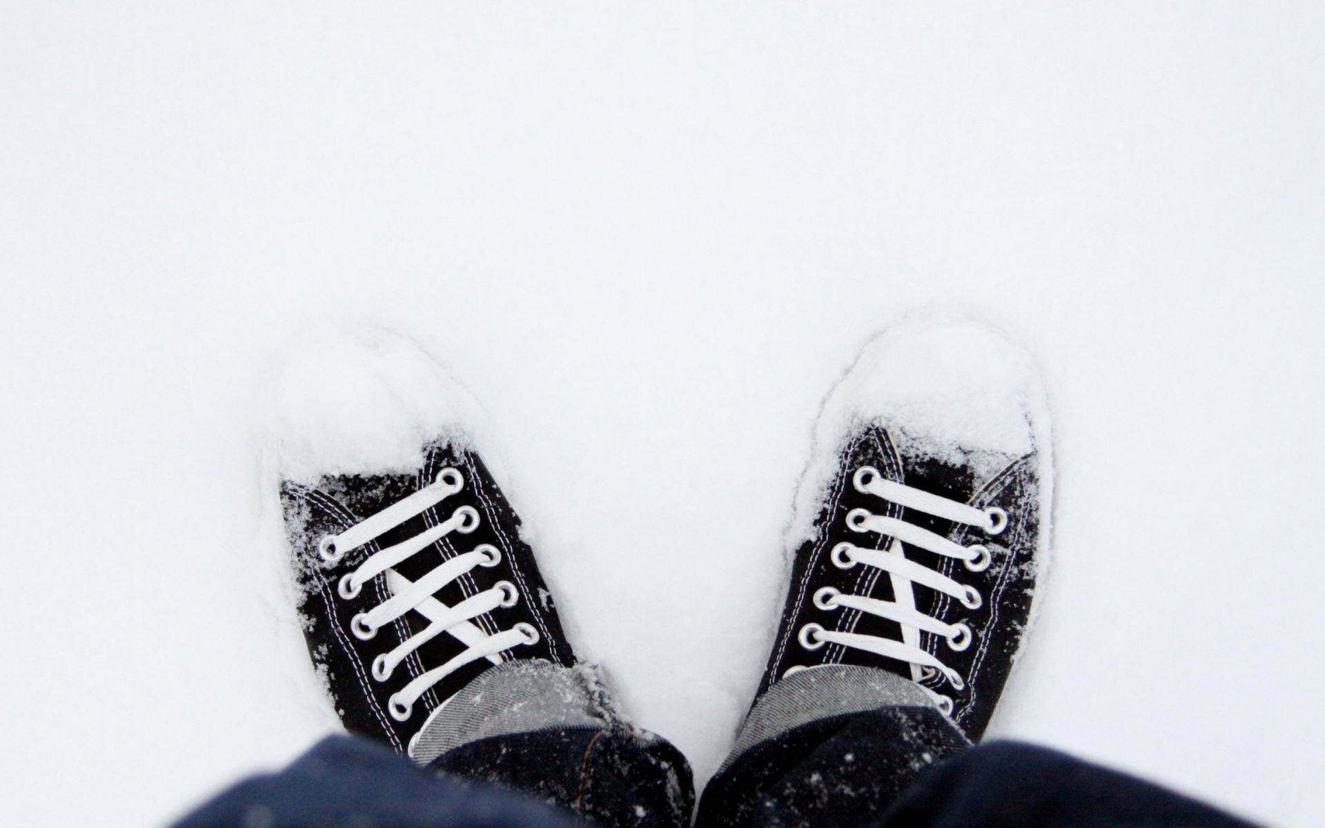 Дурак зимой в кедах обои