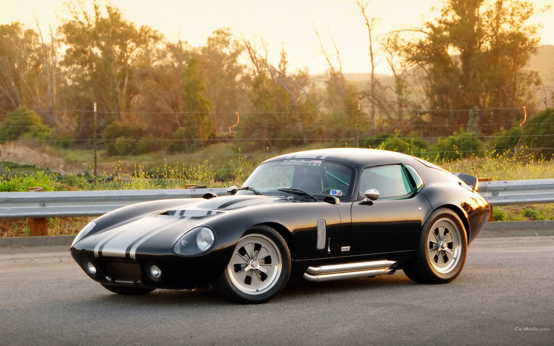 Shelby Daytona обои