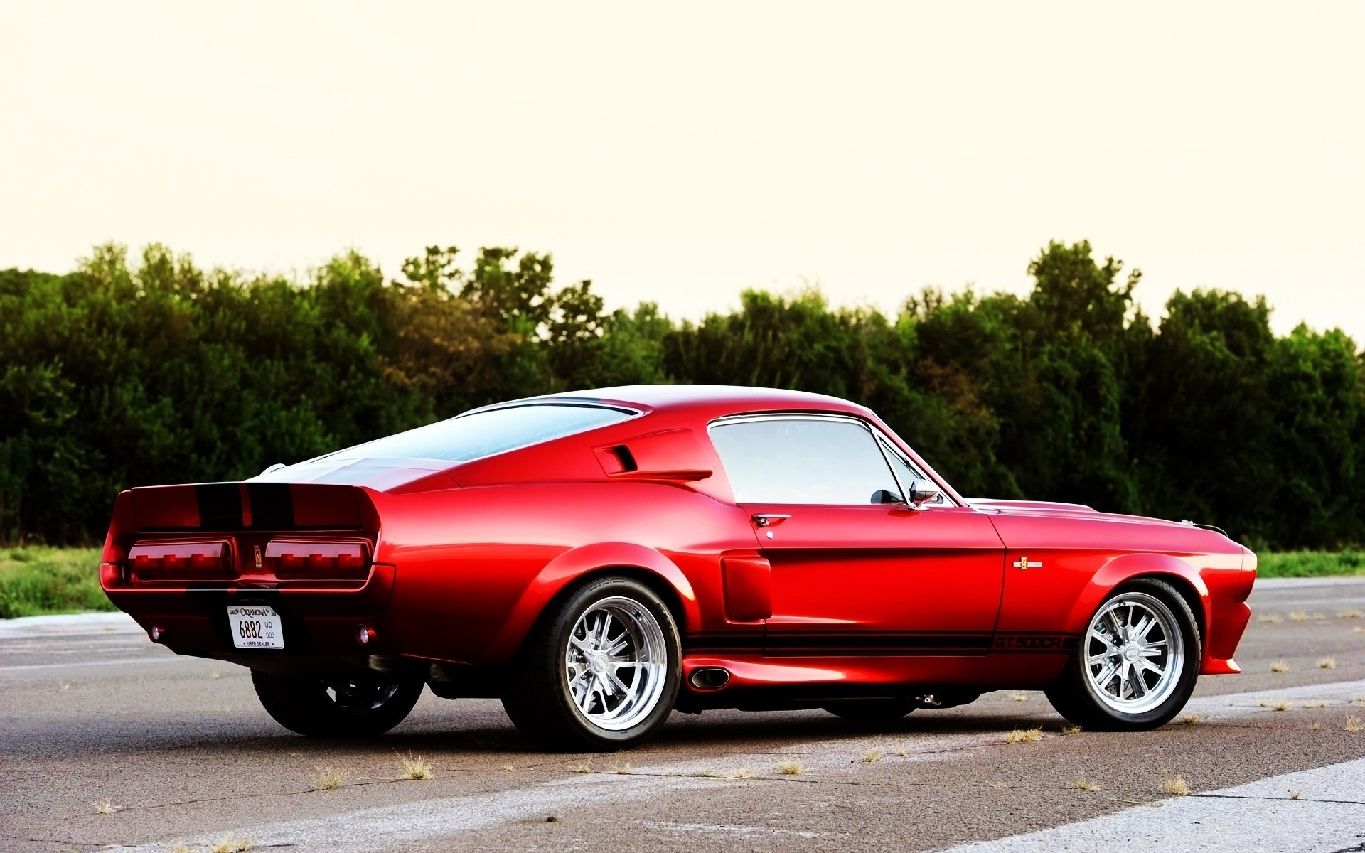Shelby GT500 CR обои