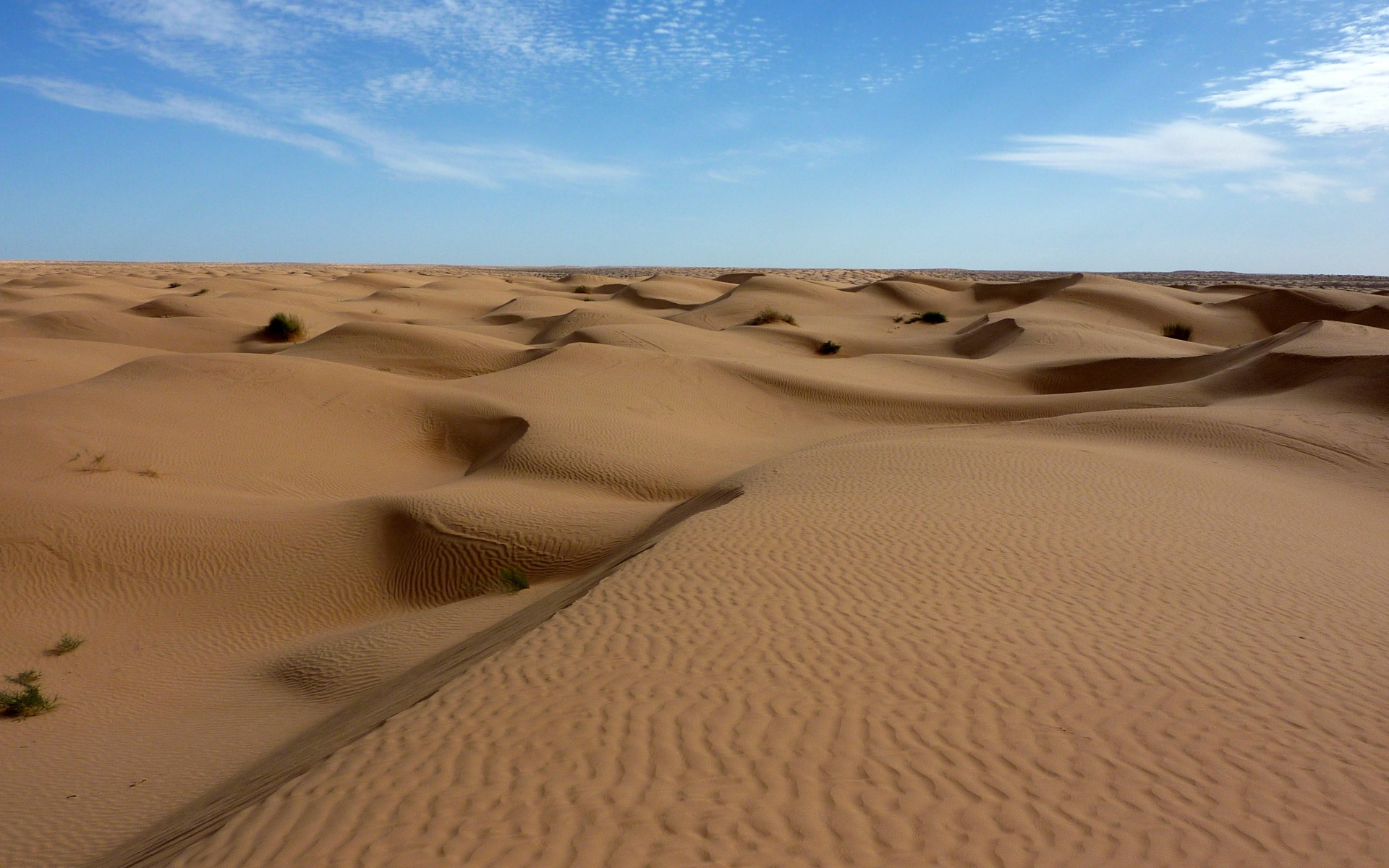 Пустыня до самого горизонта обои