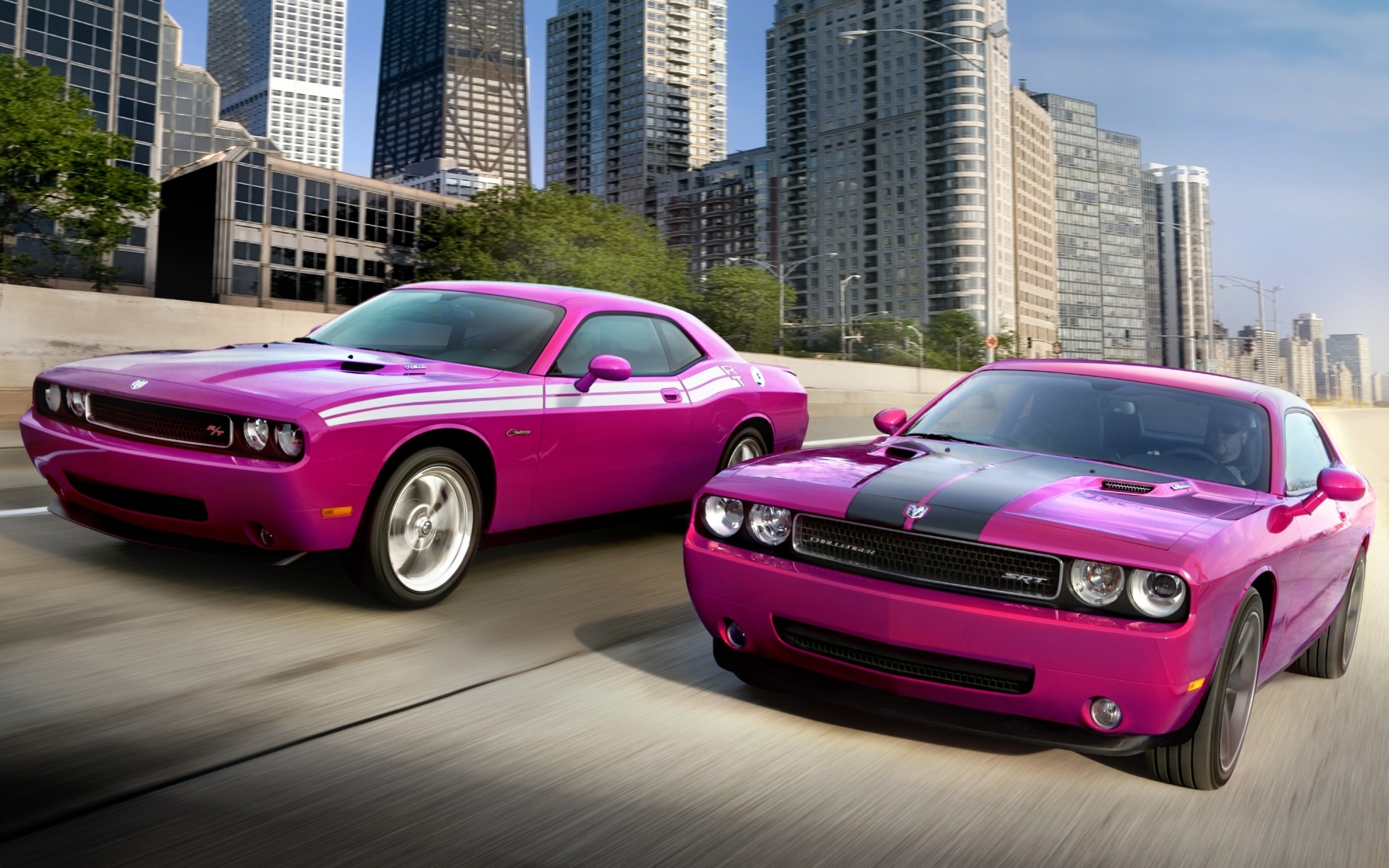 Два розовых мускулкара обои