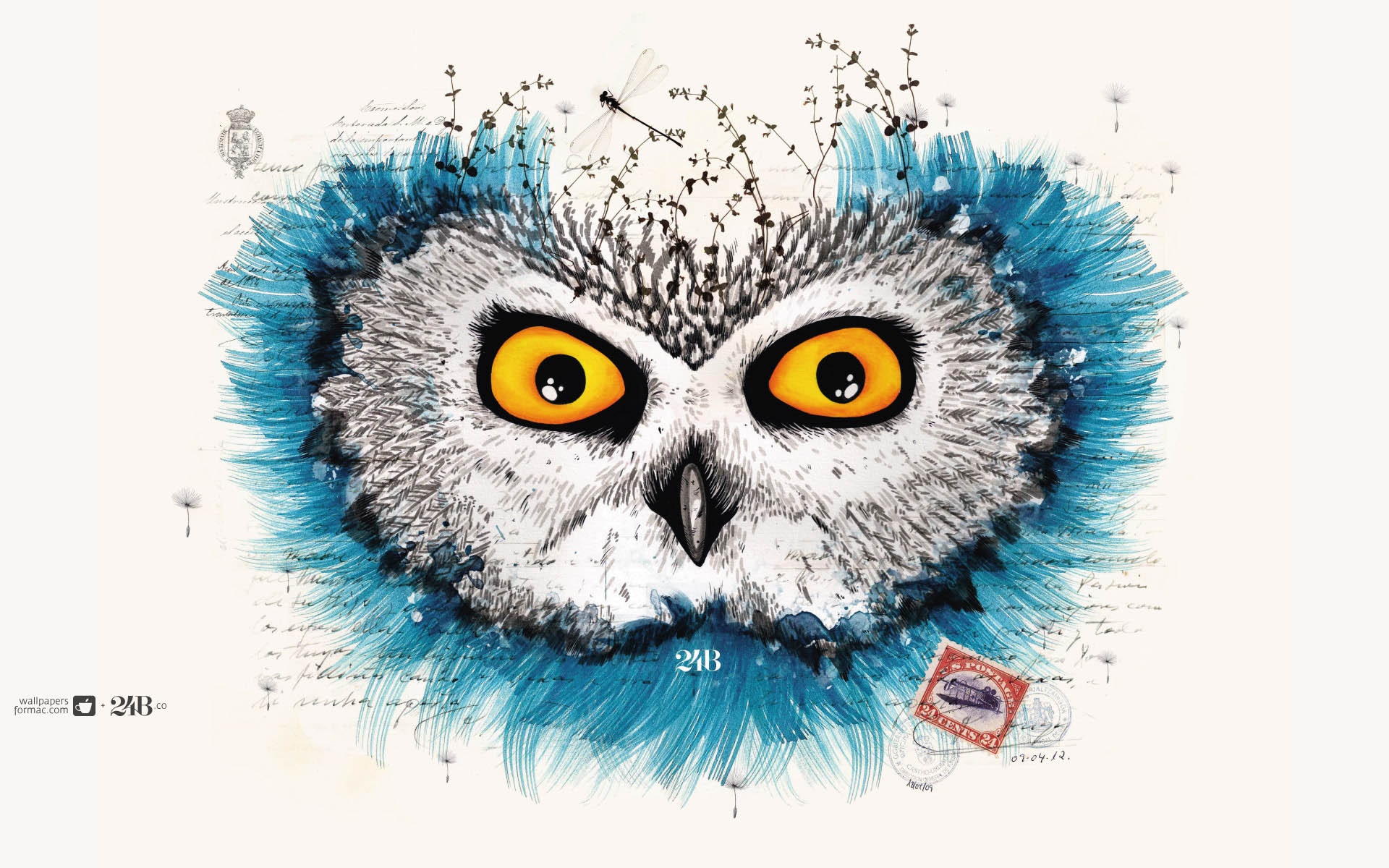 Обои сова для mac book обои