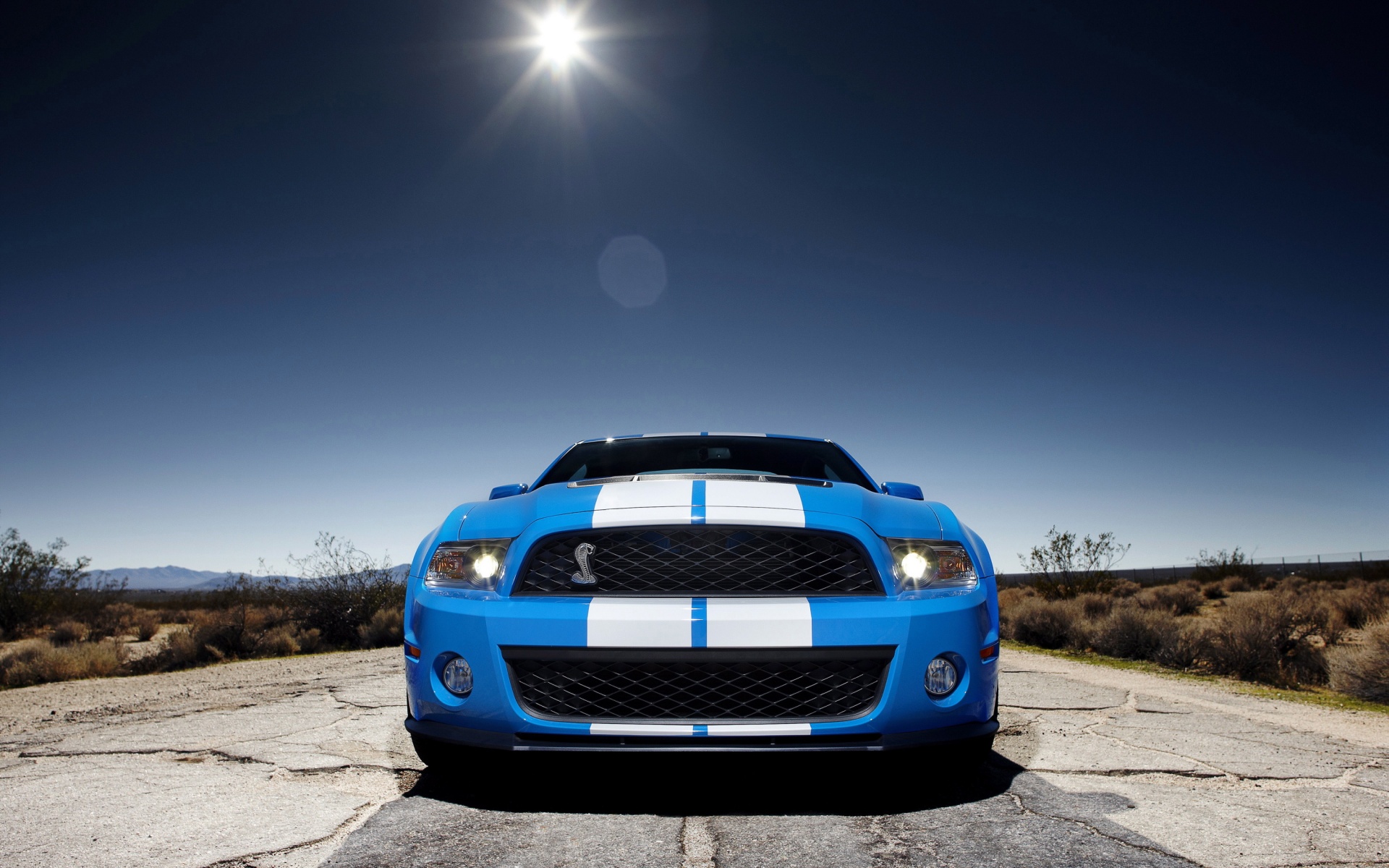 Форд Шелби обои