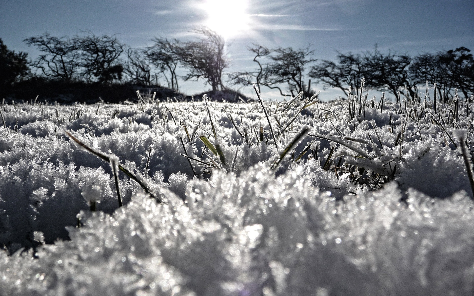 Утренний мороз обои