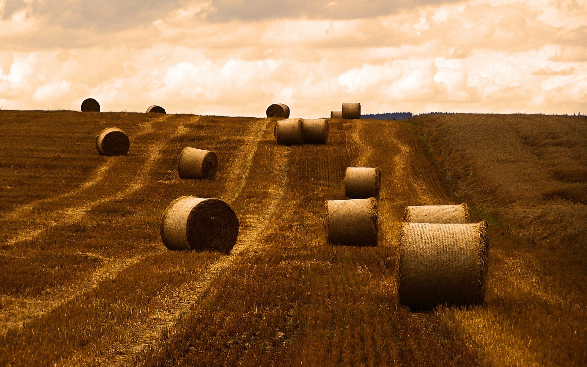 Уборка сена с поля обои