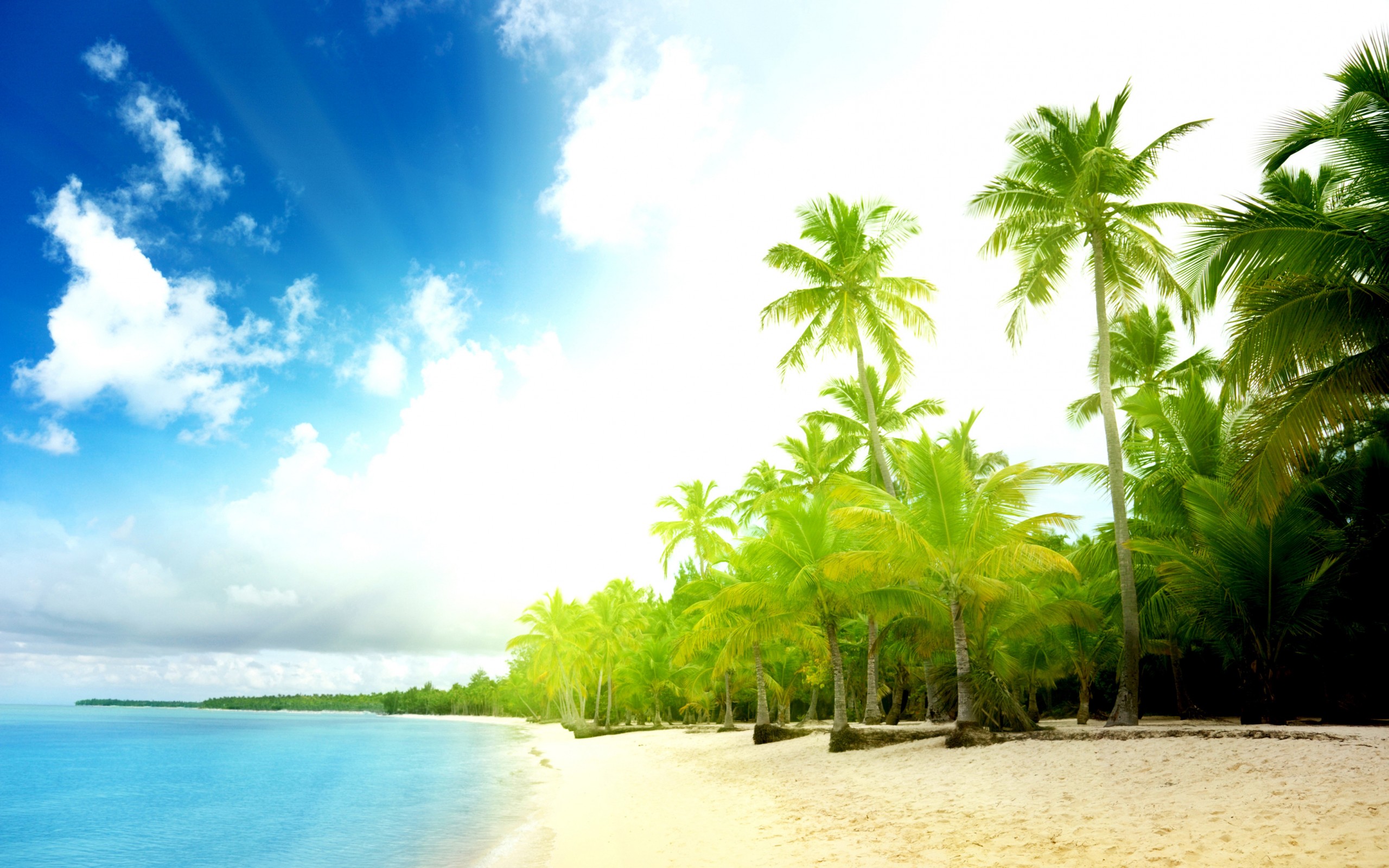 Тропическое побережье обои