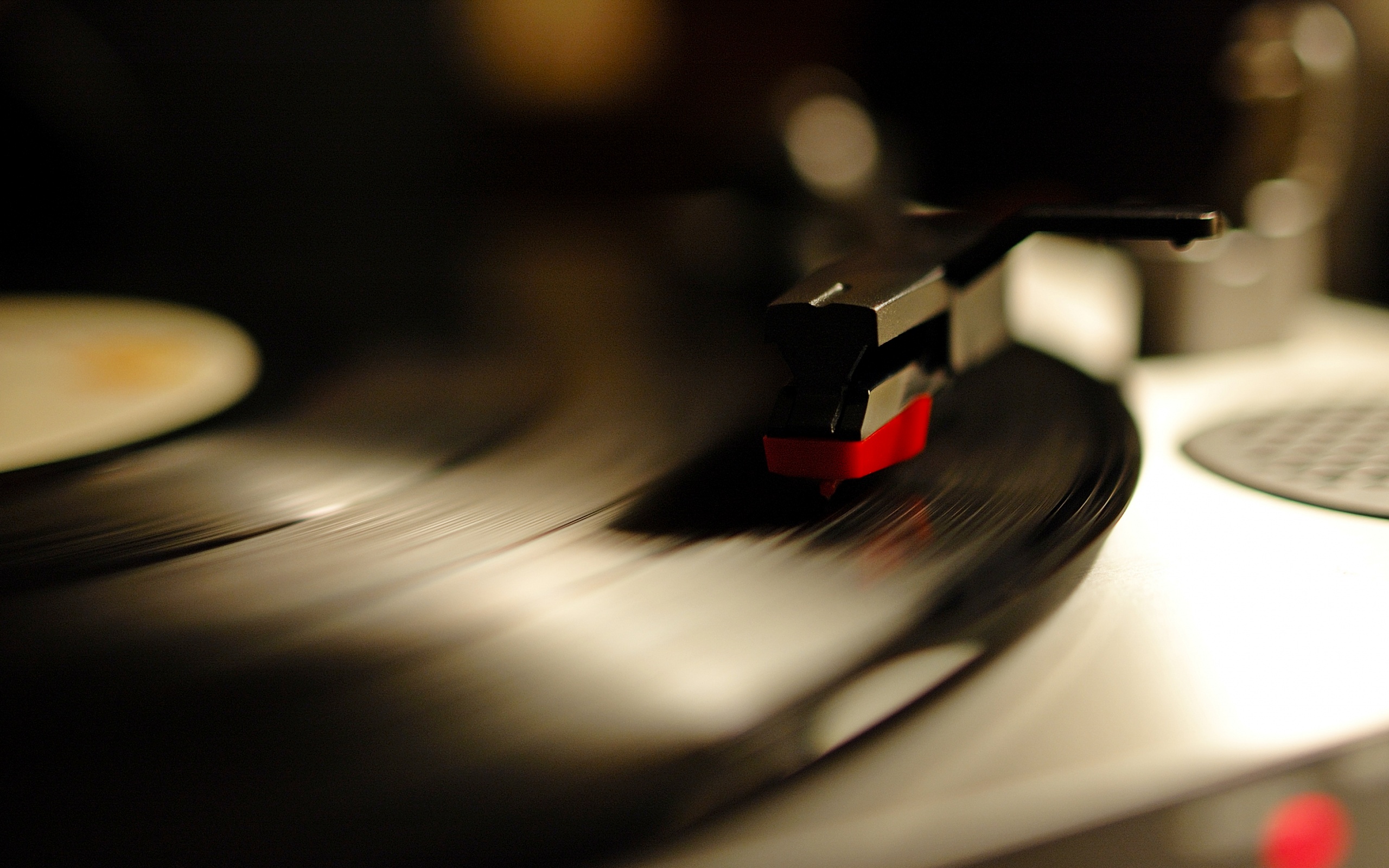 Пластинка обои