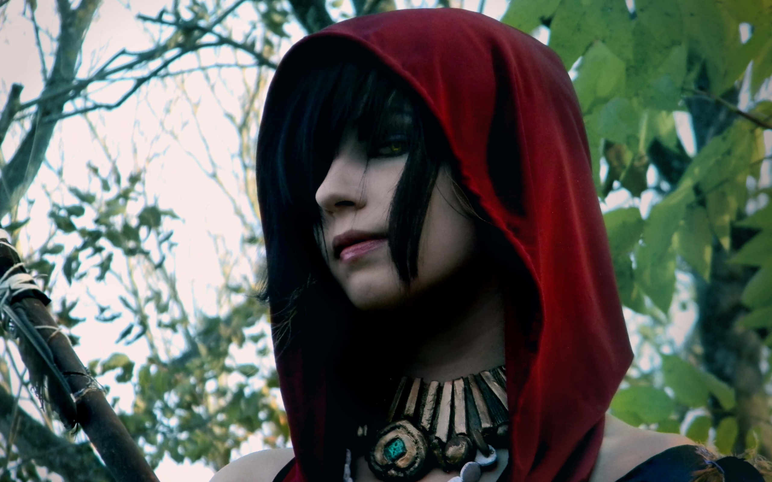 Косплей Морриган обои