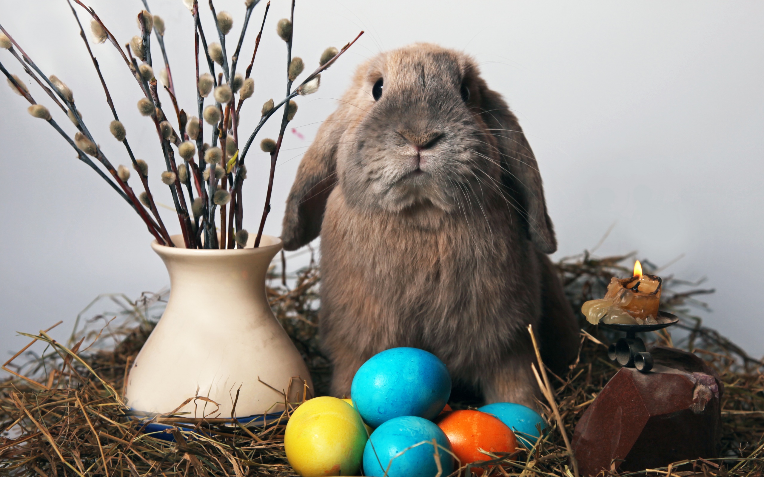 Пасхальный кролик обои