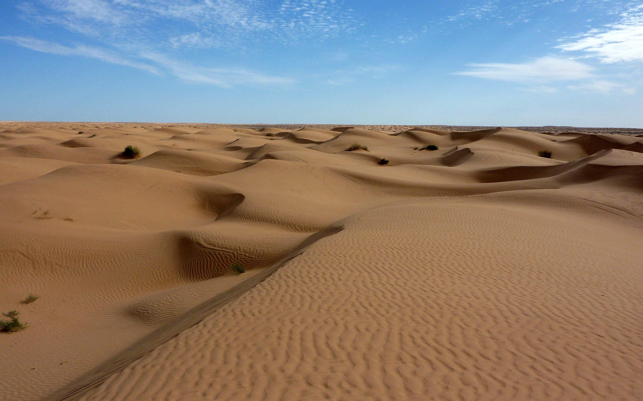 Пустыня до самого горизонта обои