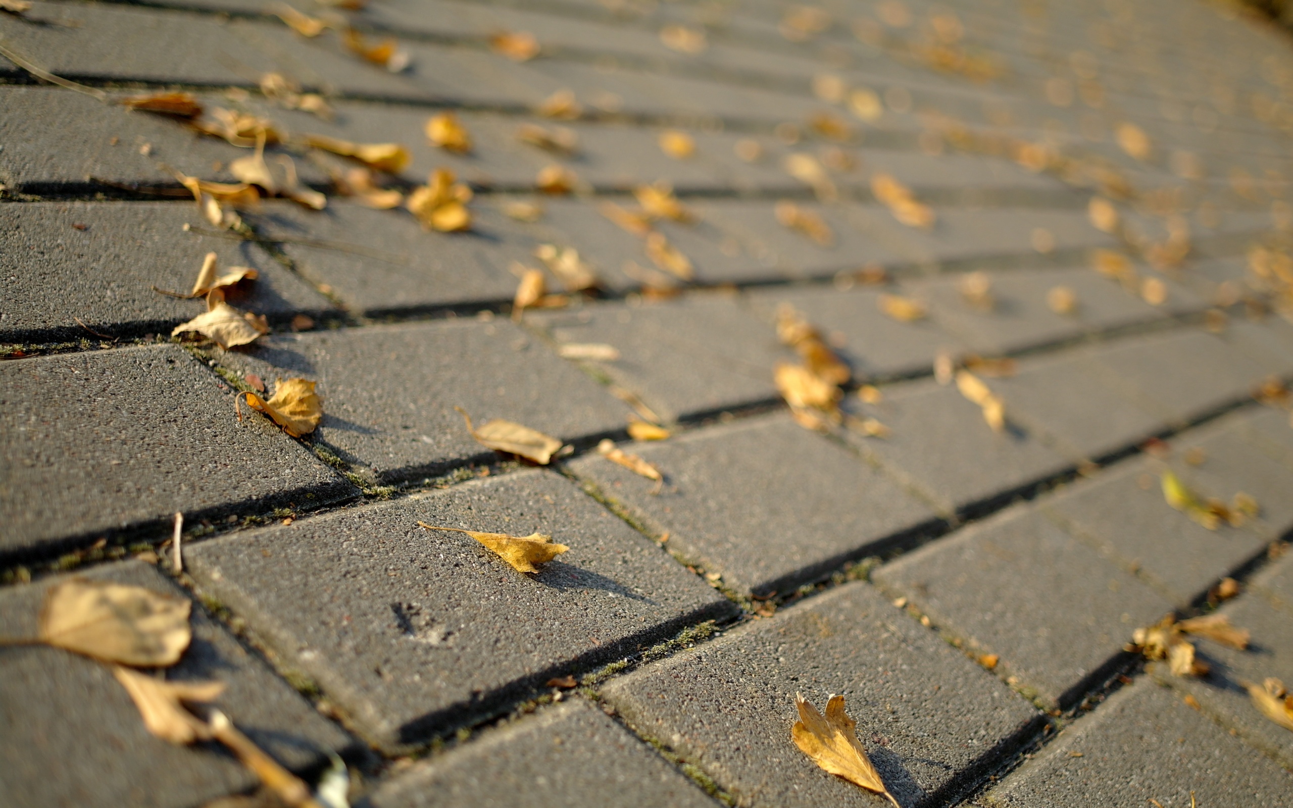 Тротуар обои