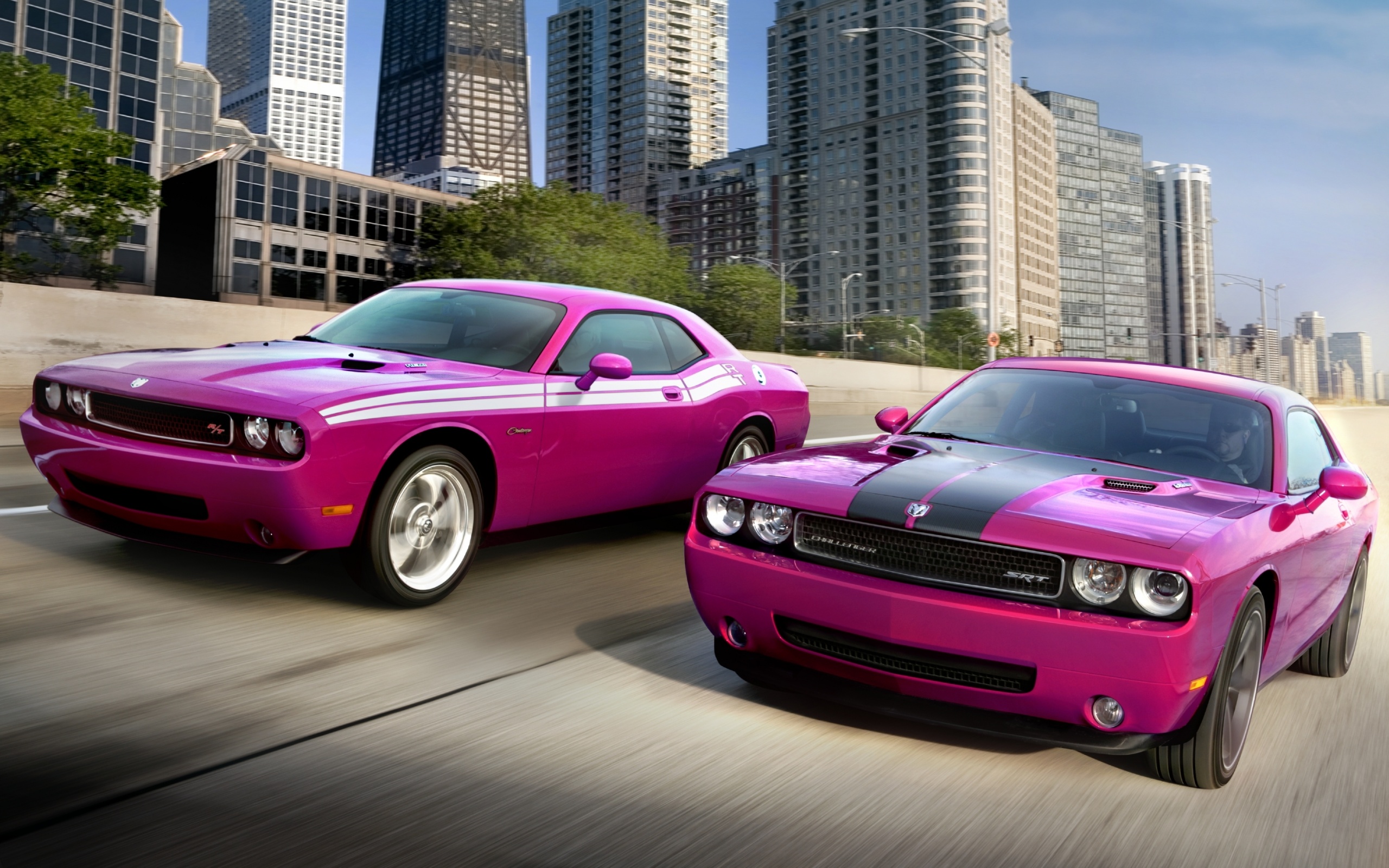 Два розовых мускулкара обои