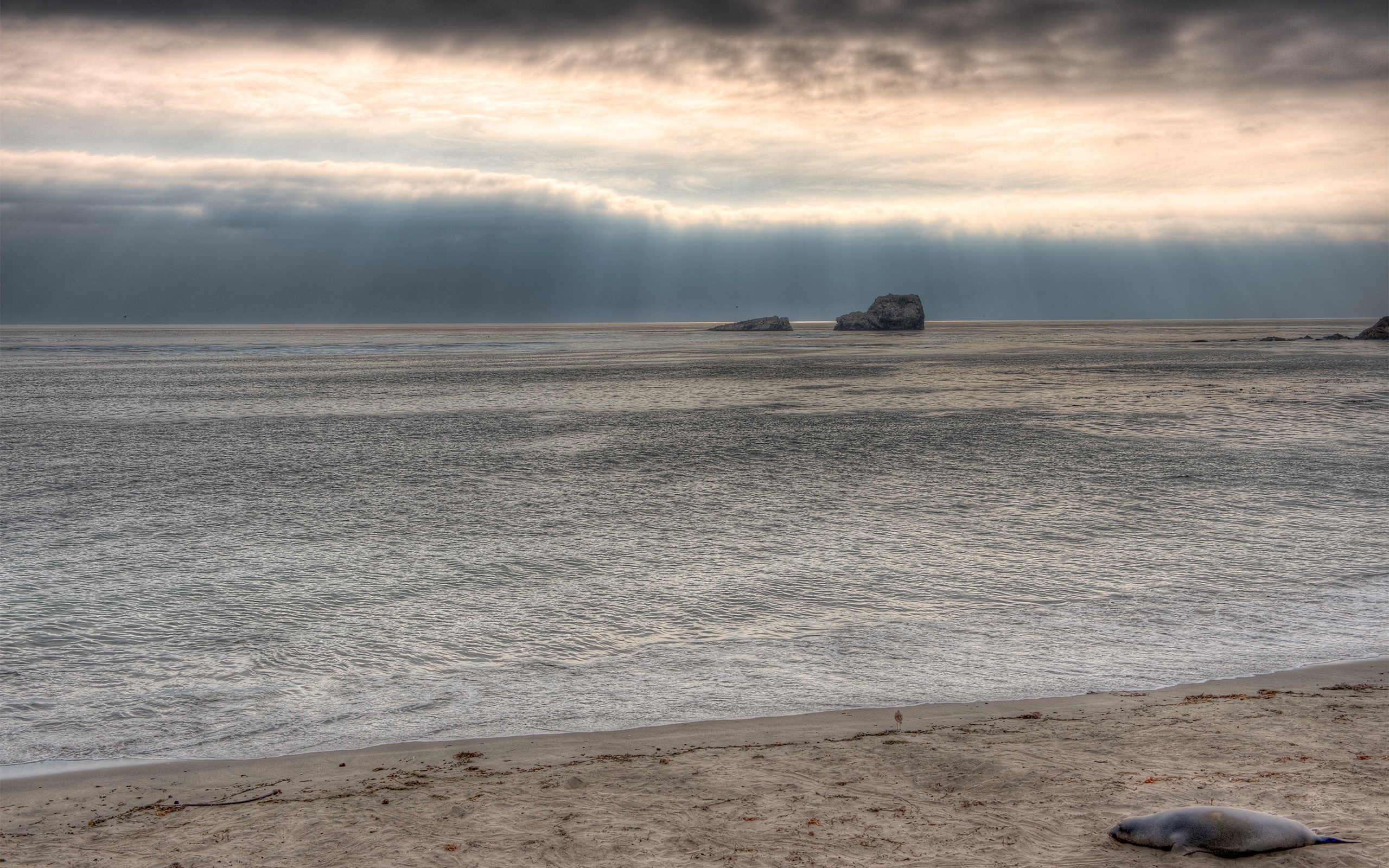 Пляж на фоне светящегосы неба обои