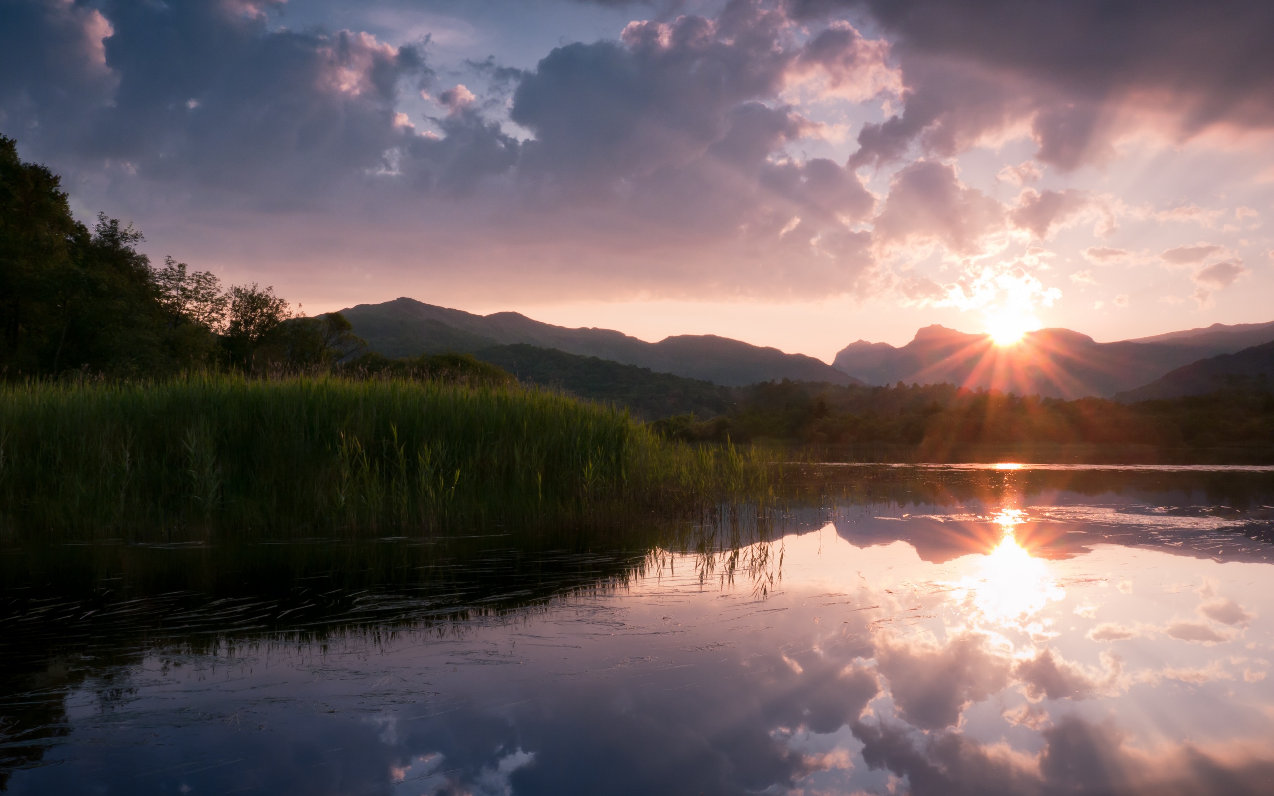 Закат за лесом обои