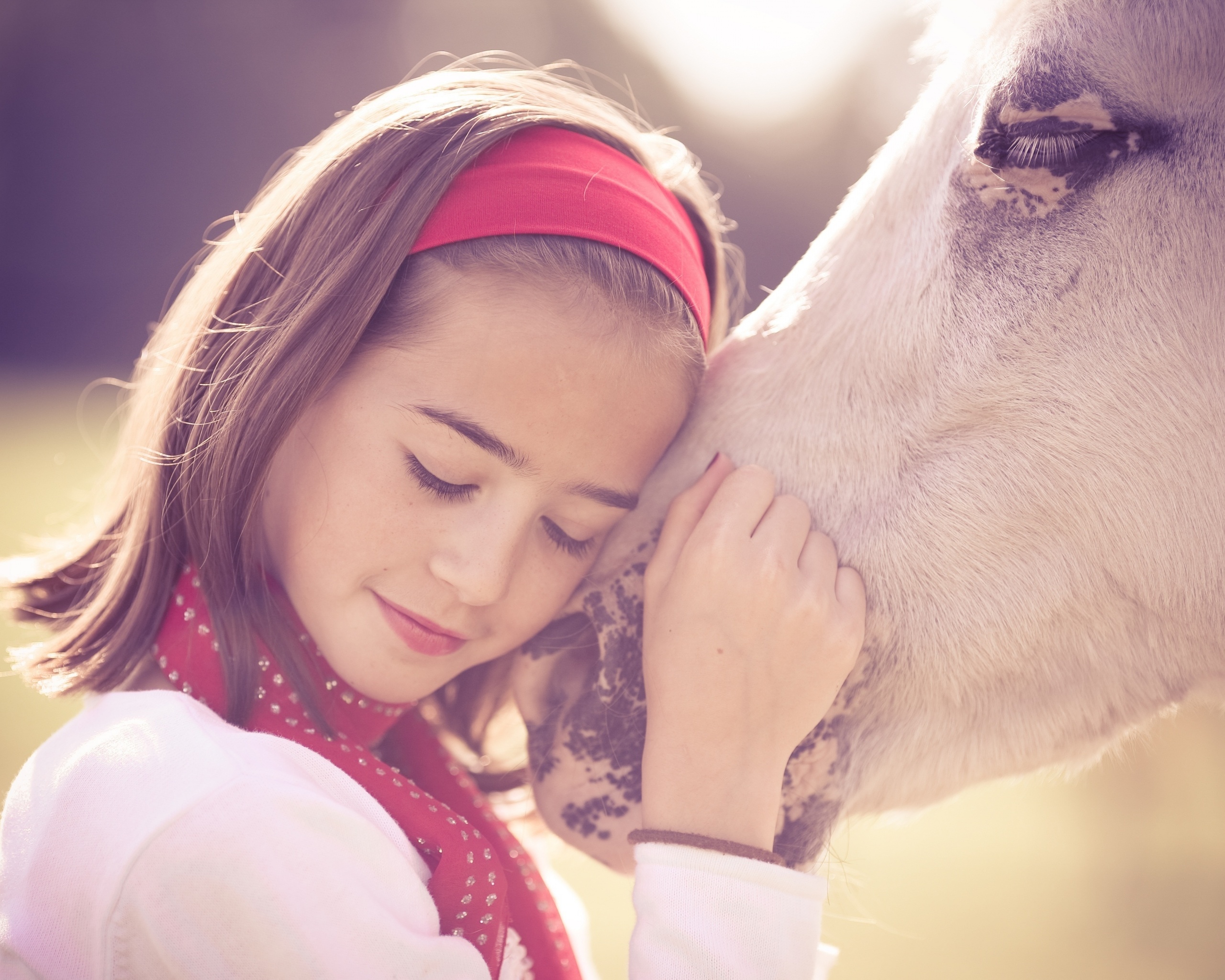 Девочка и лошадь обои