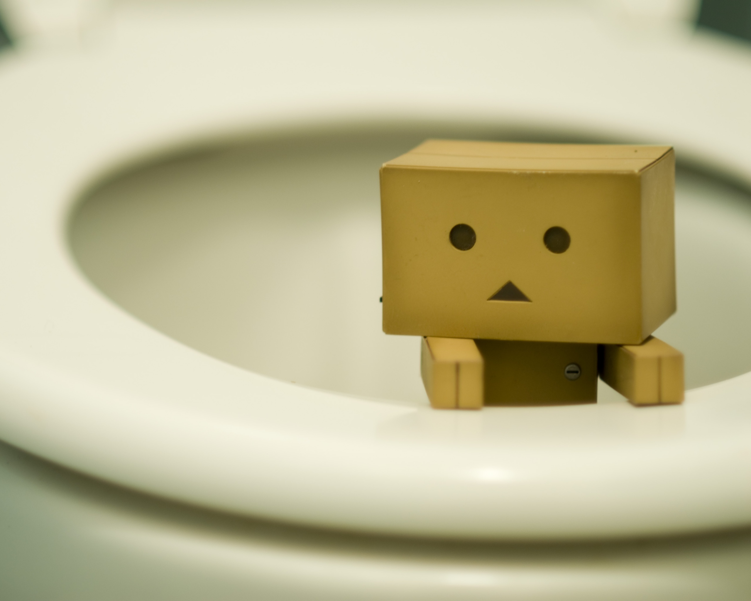 Danbo в унитазе обои