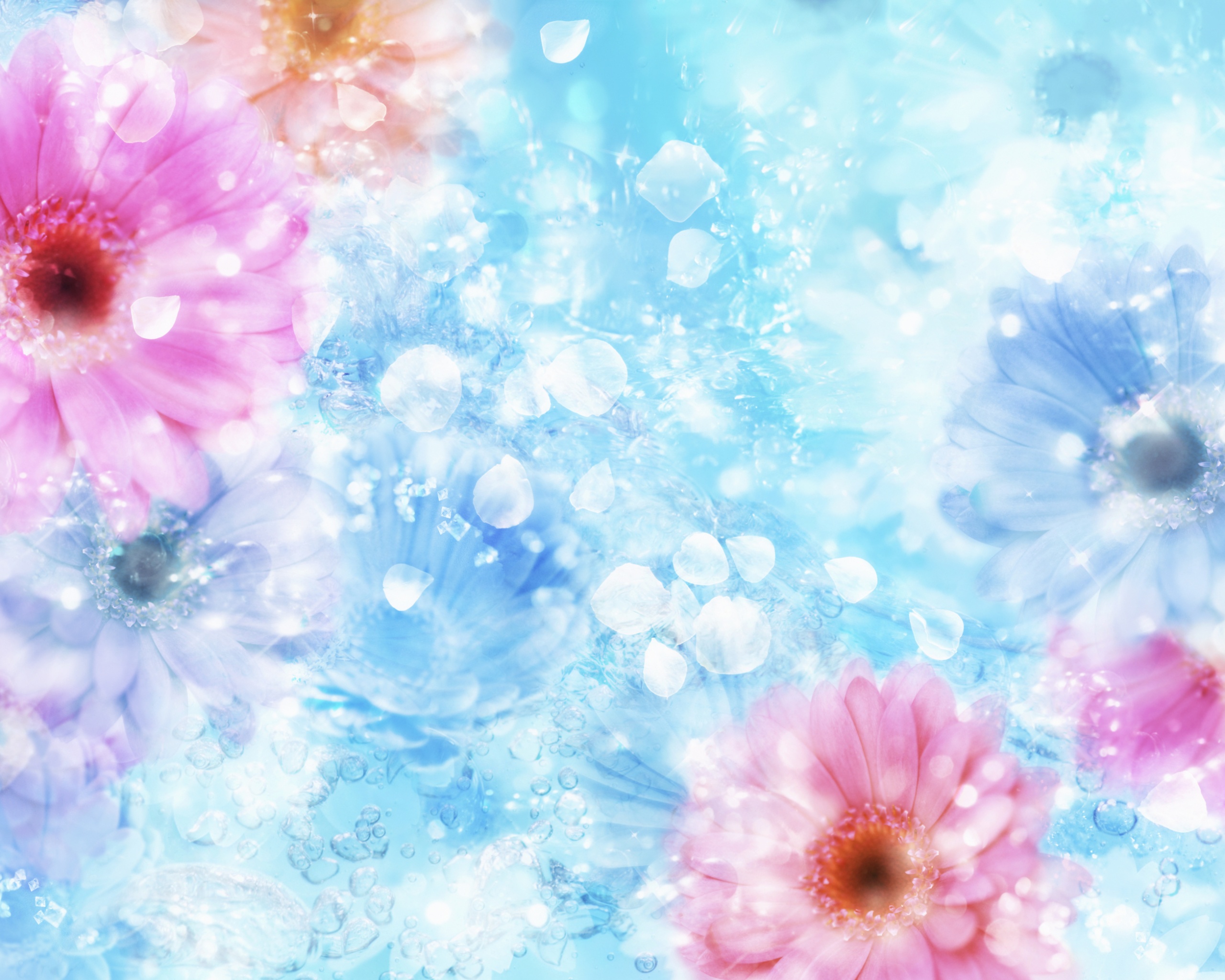 Цветочная эйфория обои