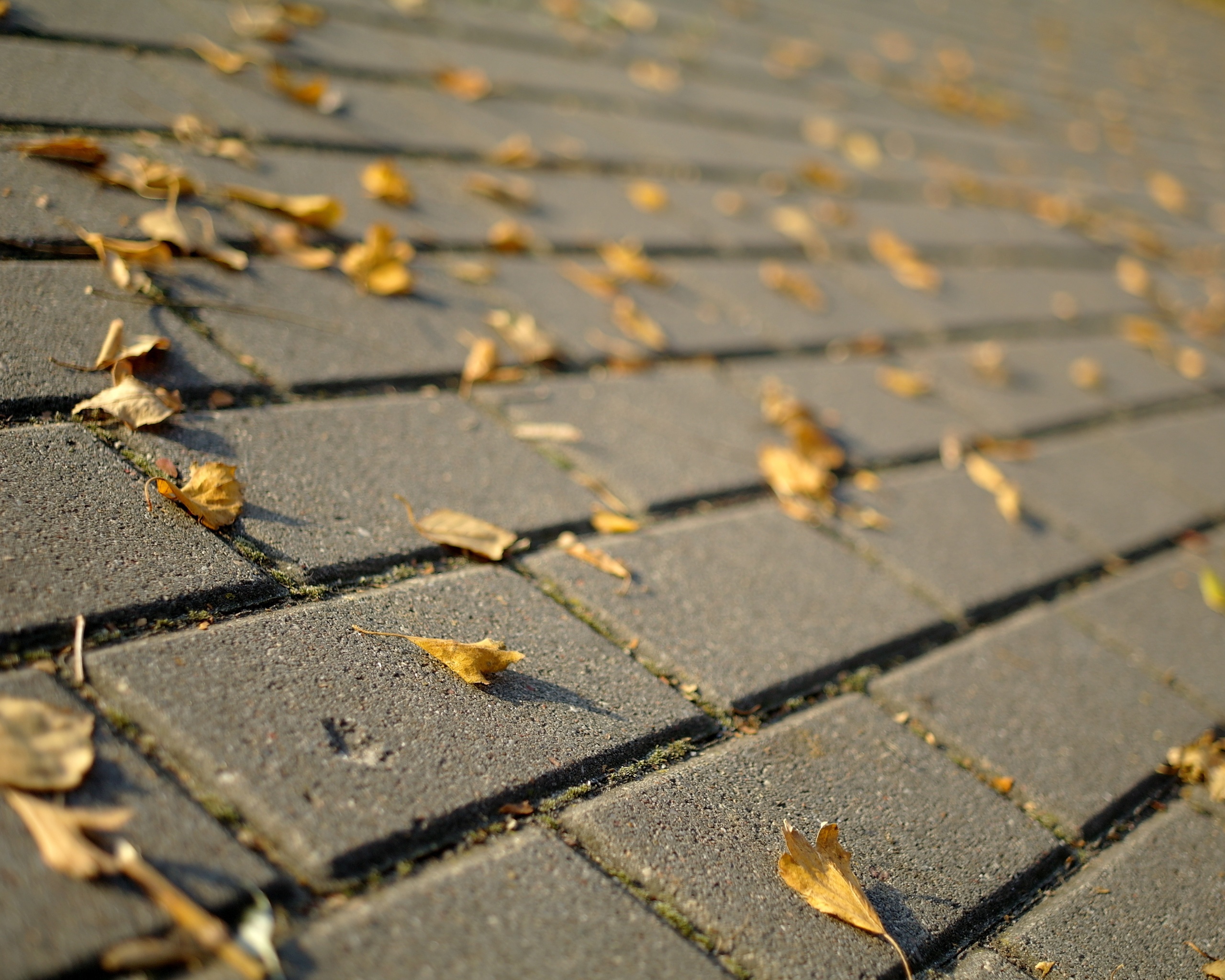 Тротуар обои