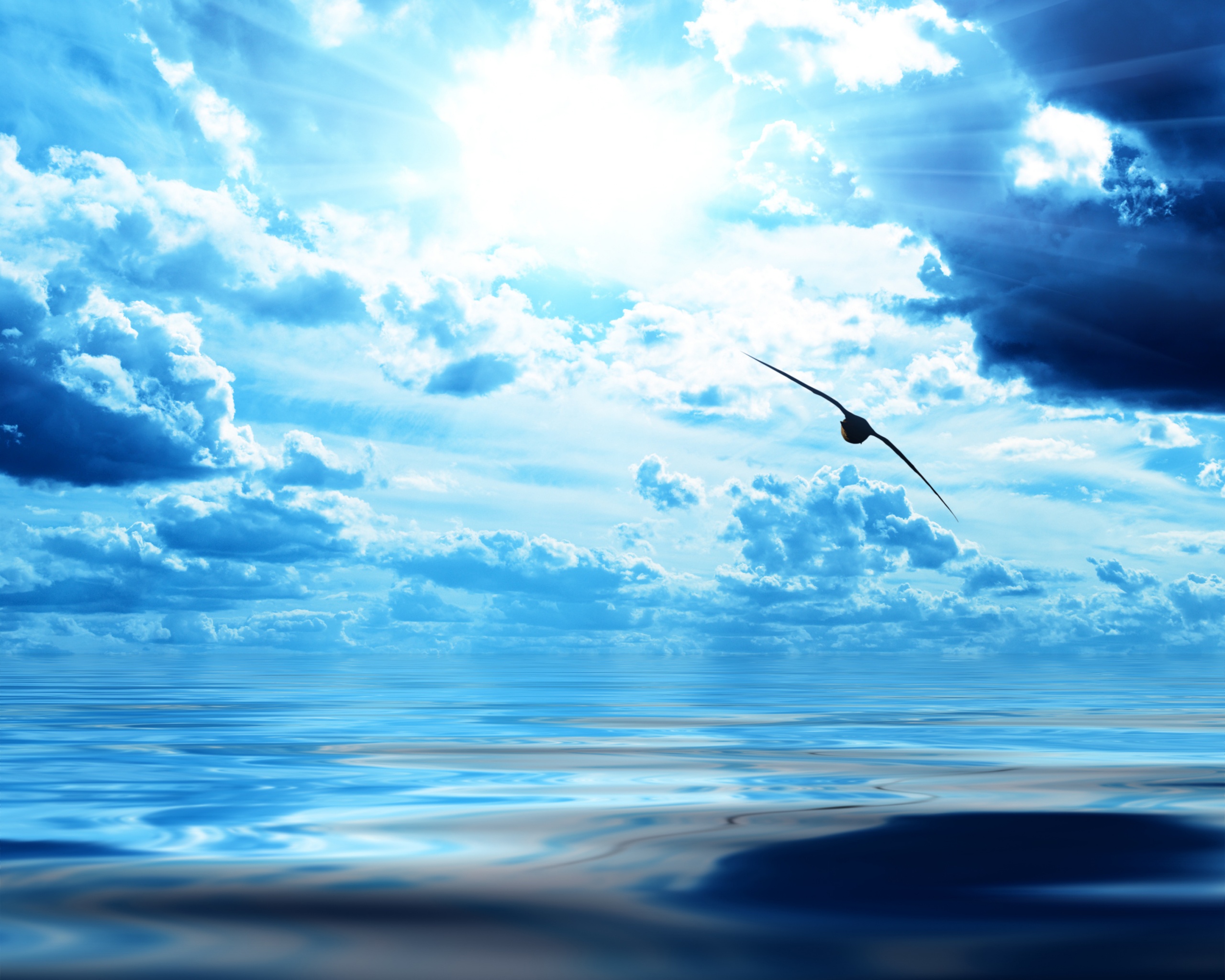 Лети как птица над волнами обои