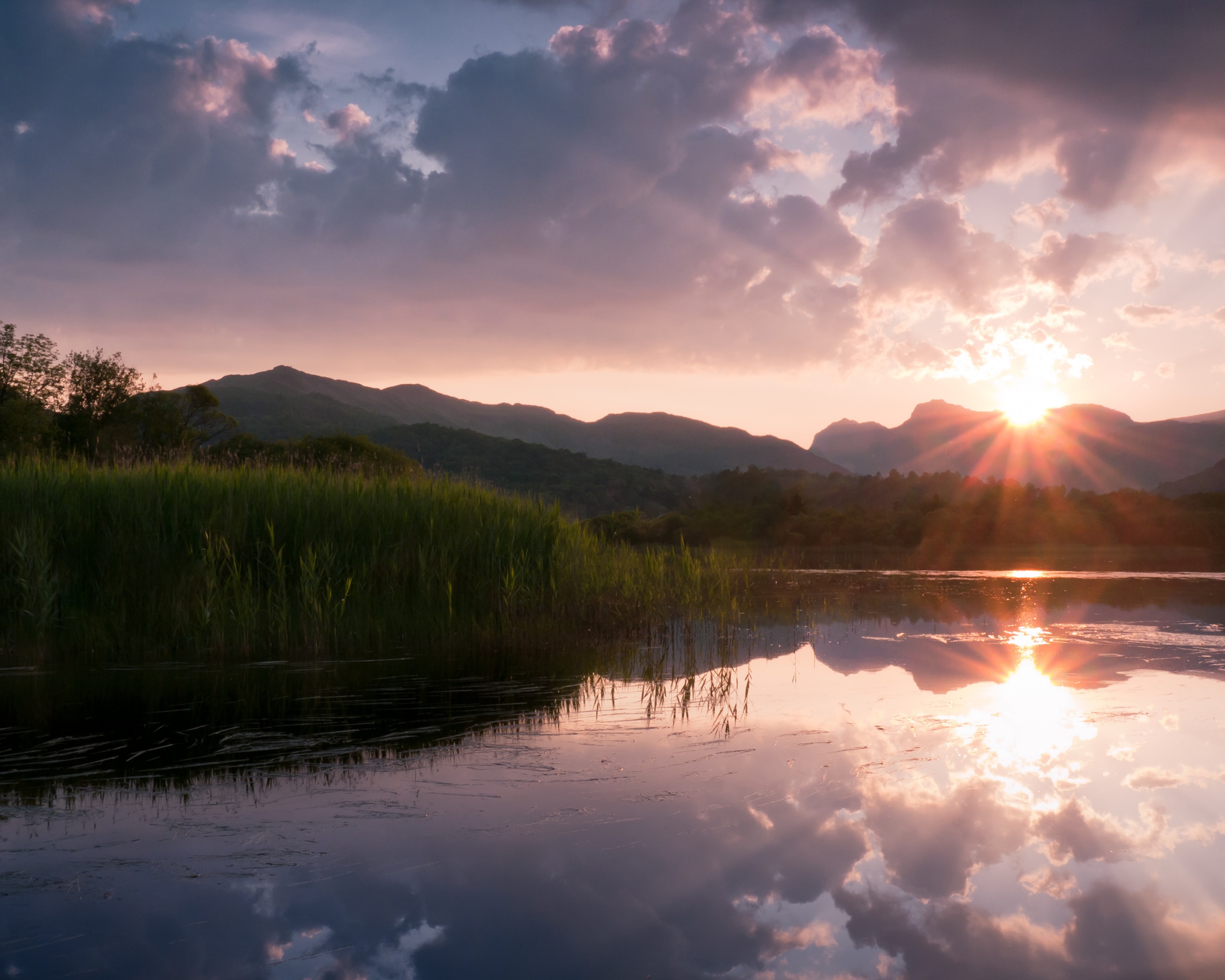 Закат за лесом обои