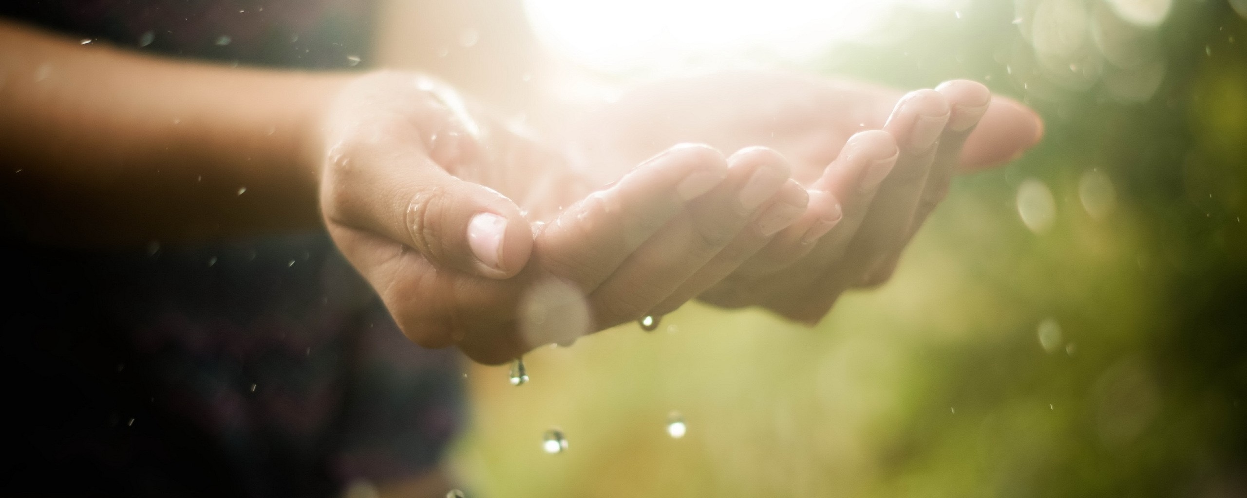 Дождь в ладонях обои