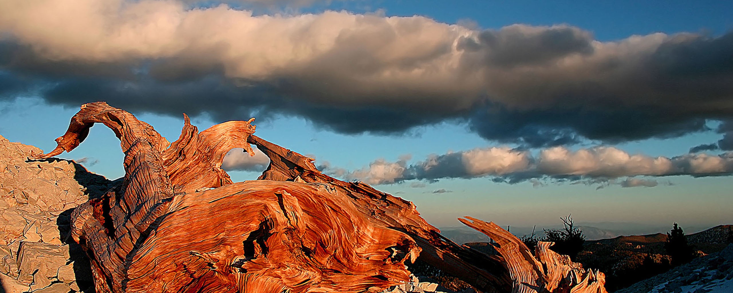 Прелести природы обои