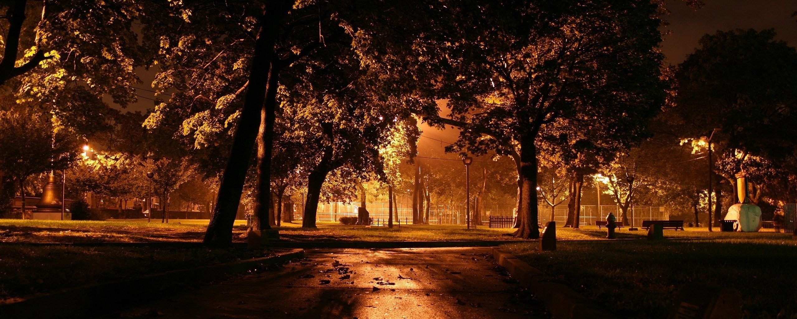 Ночной парк обои