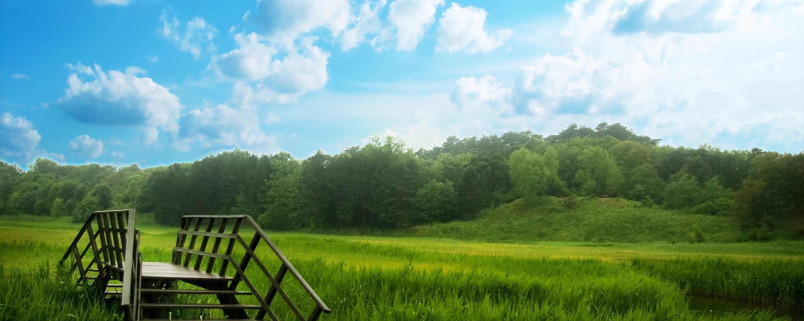 Мостик обои