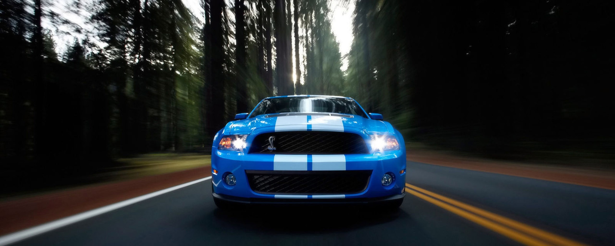 Форд Шелби обои