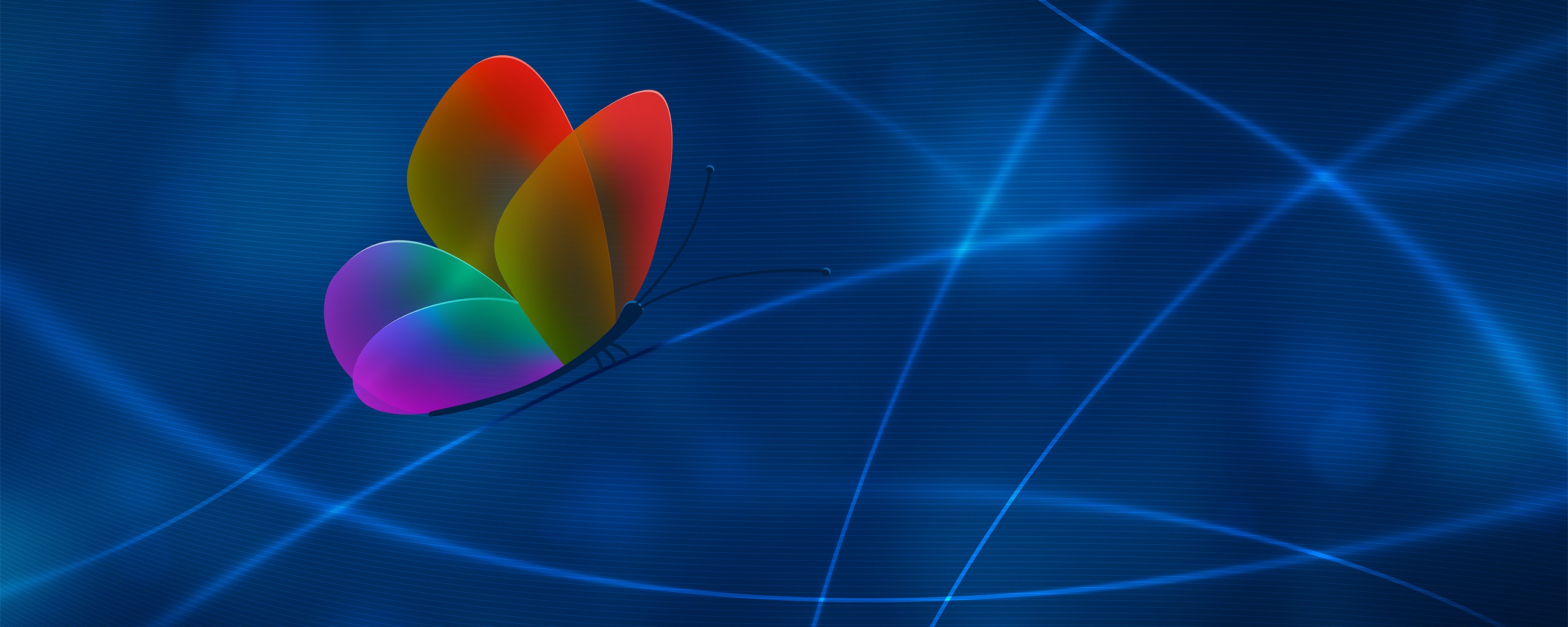 Бабочка с радужными крыльями обои