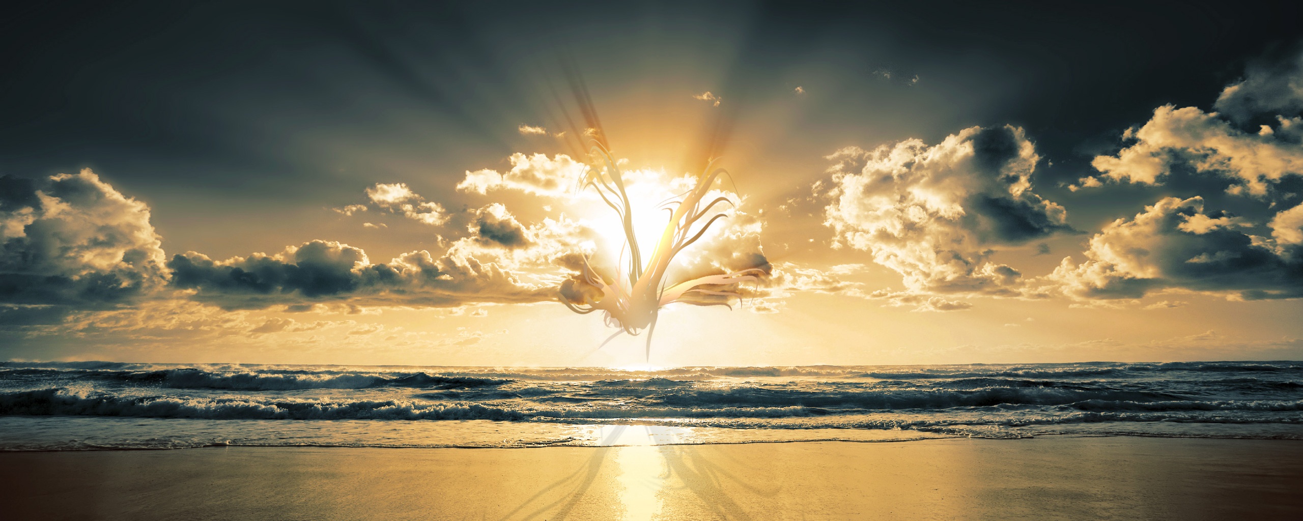 Абстрактные перья на фоне заката обои