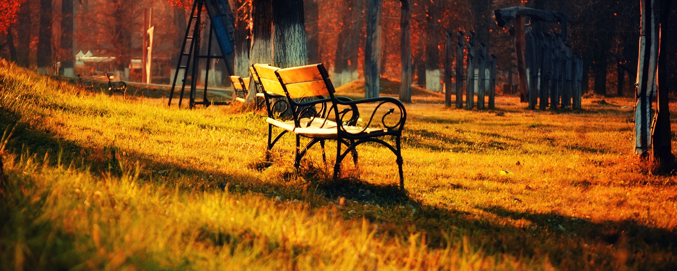Скаймейка в осеннем парке обои