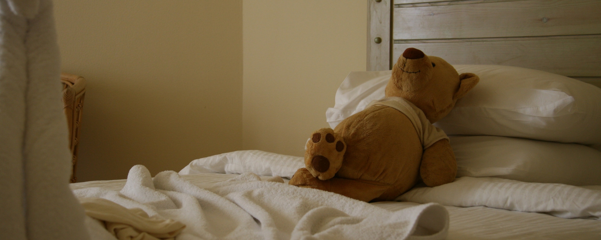 Медвежонок в постели обои