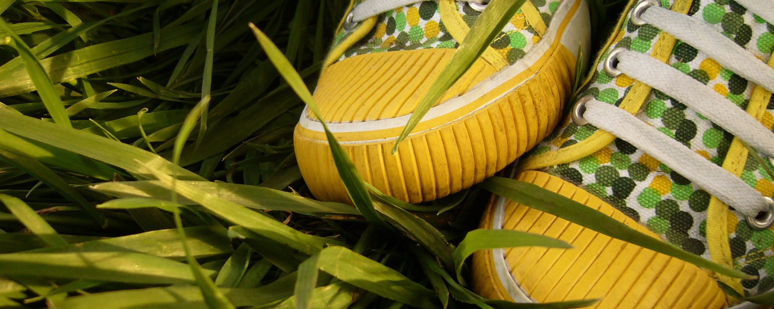 Желтые кеды в горошек обои