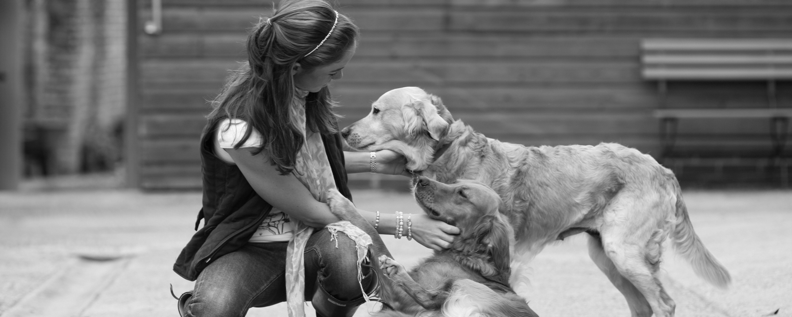 Девушка с собаками обои