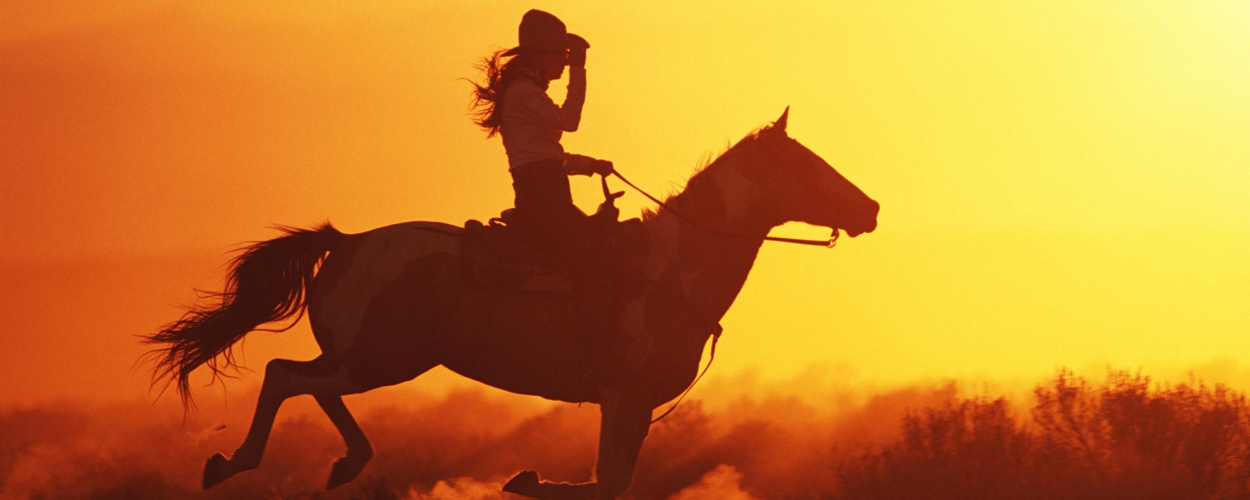 Наездница на закате обои