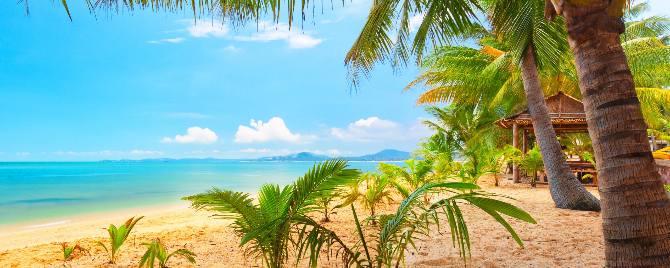 Настоящее лето обои