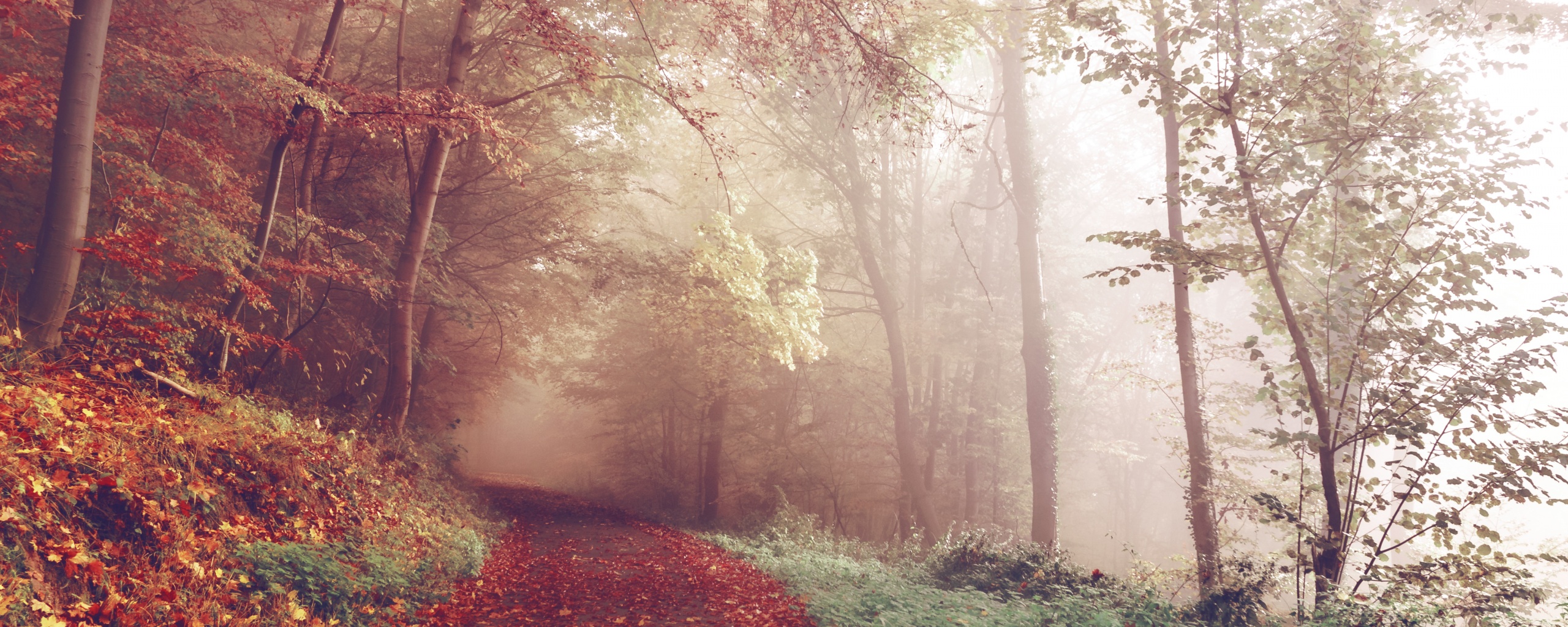 Осенний мистический пейзаж обои