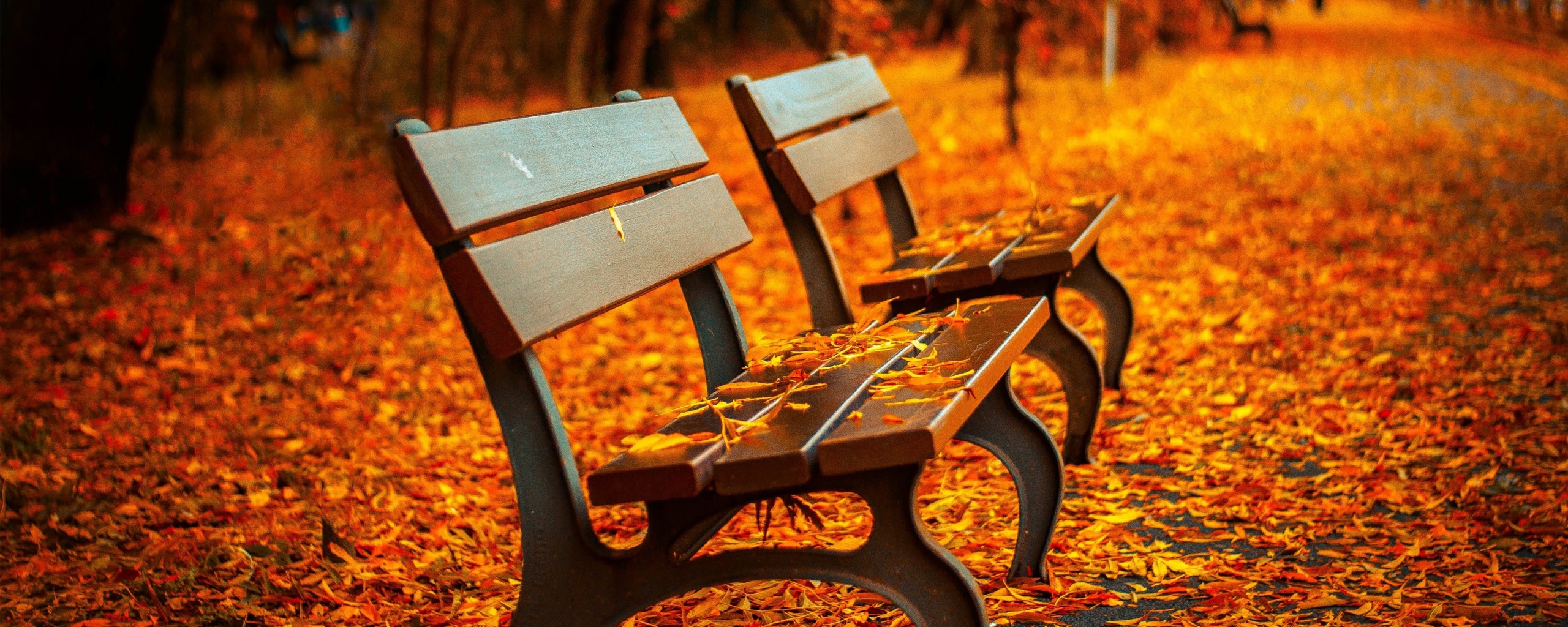 Лавочки в осеннем парке обои