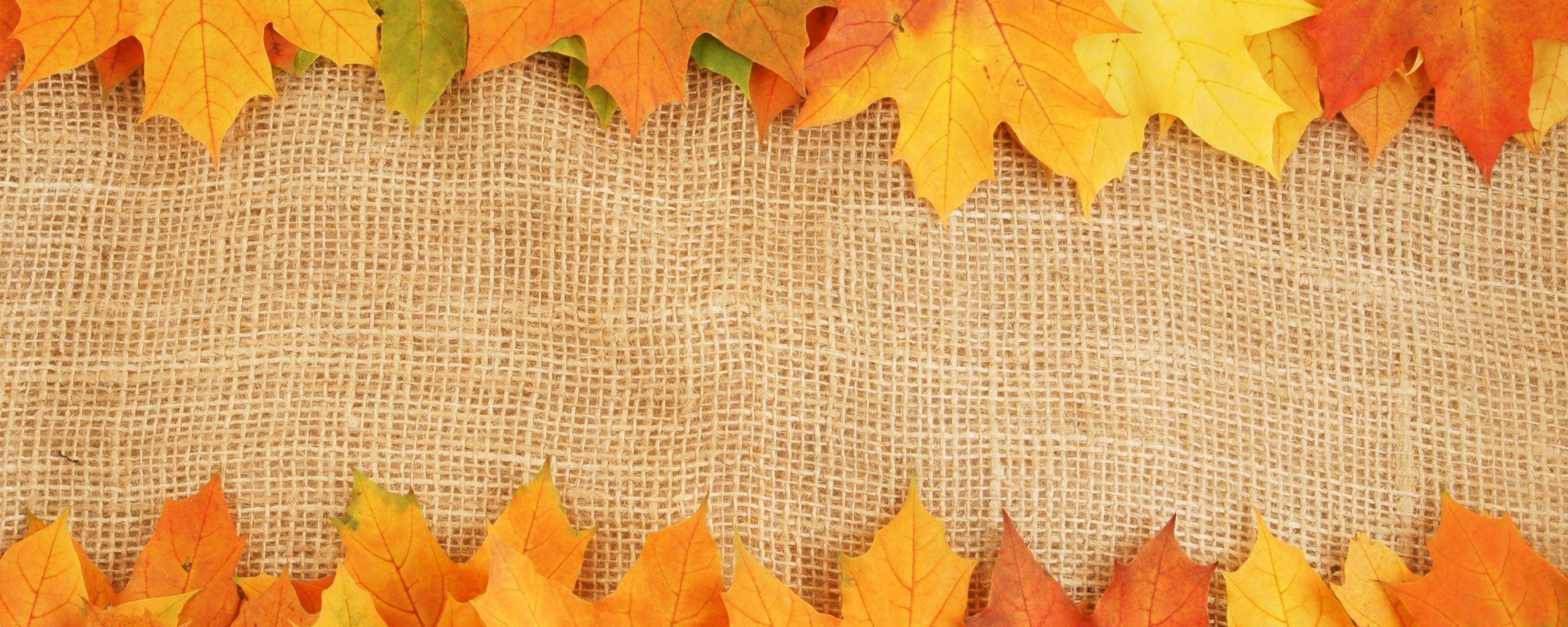 Желтые кленовые листья на холсте обои