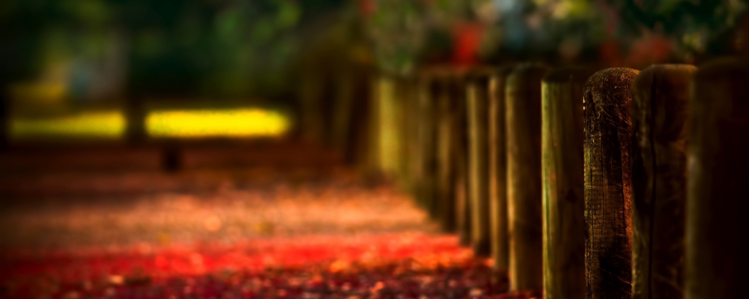 Аллея усеянная листвой обои