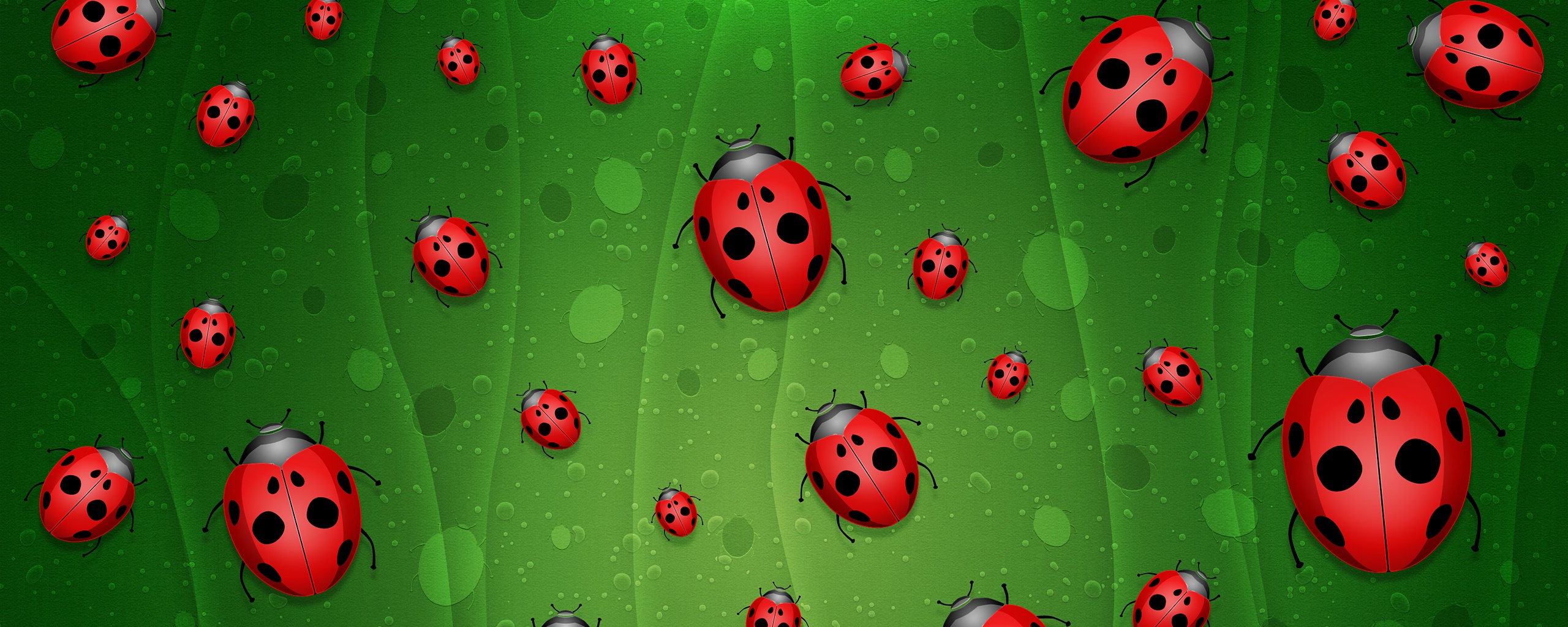 Божьи коровки обои