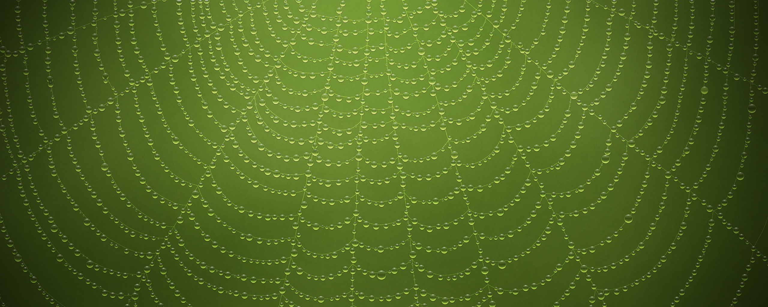Роса на паутине обои