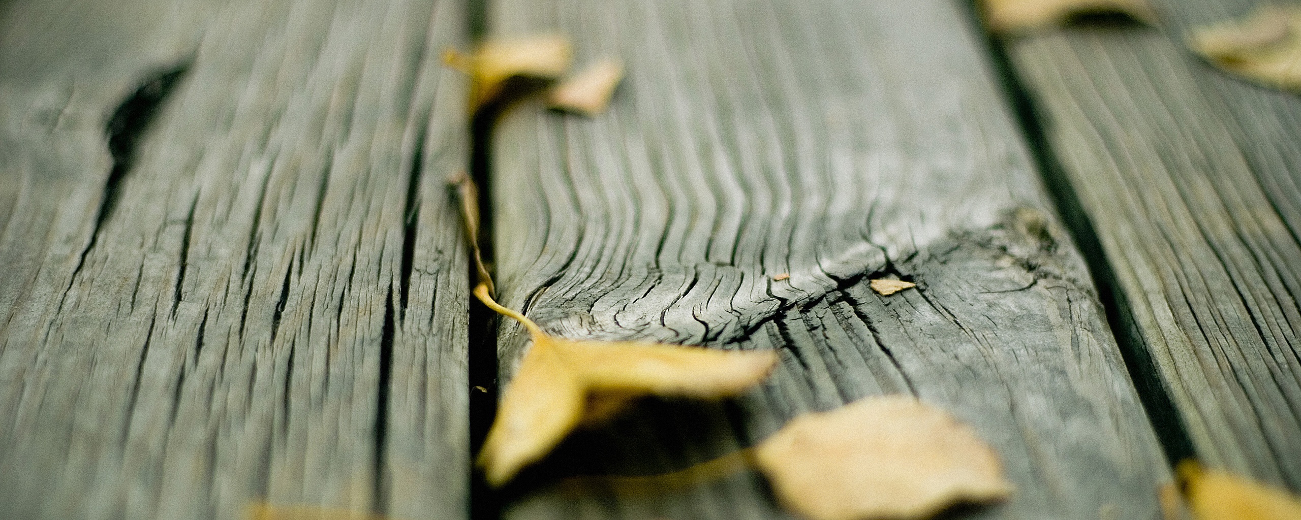 Листья на дощатом полу обои