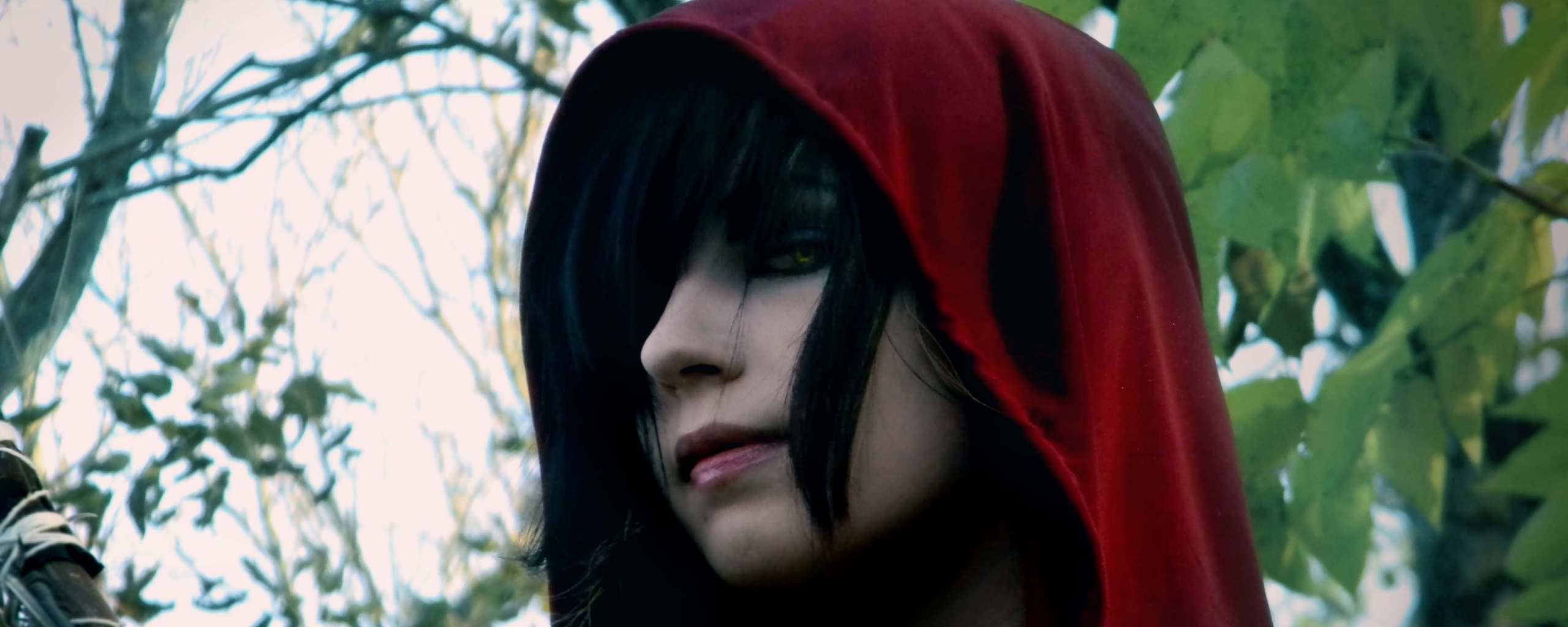 Косплей Морриган обои