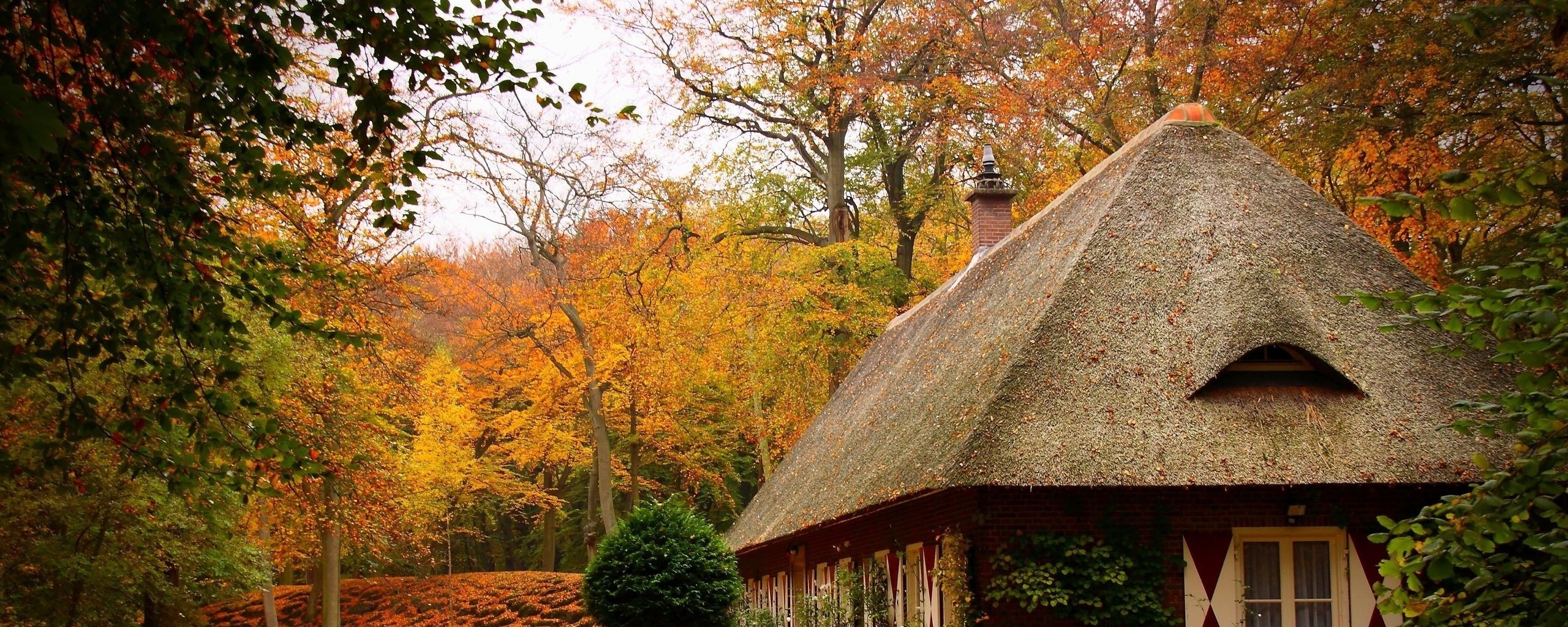 Домик в осеннем лесу обои