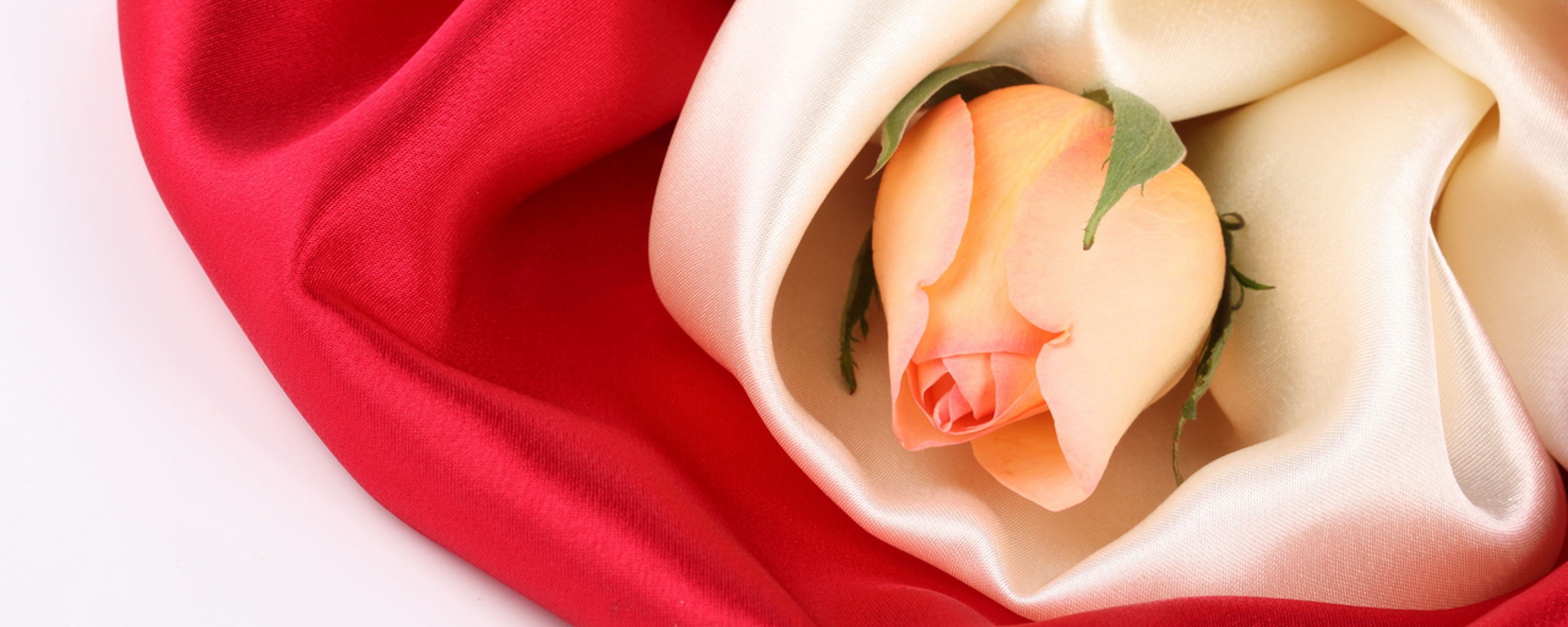 Нераспустившийся цветок розы в шелке обои